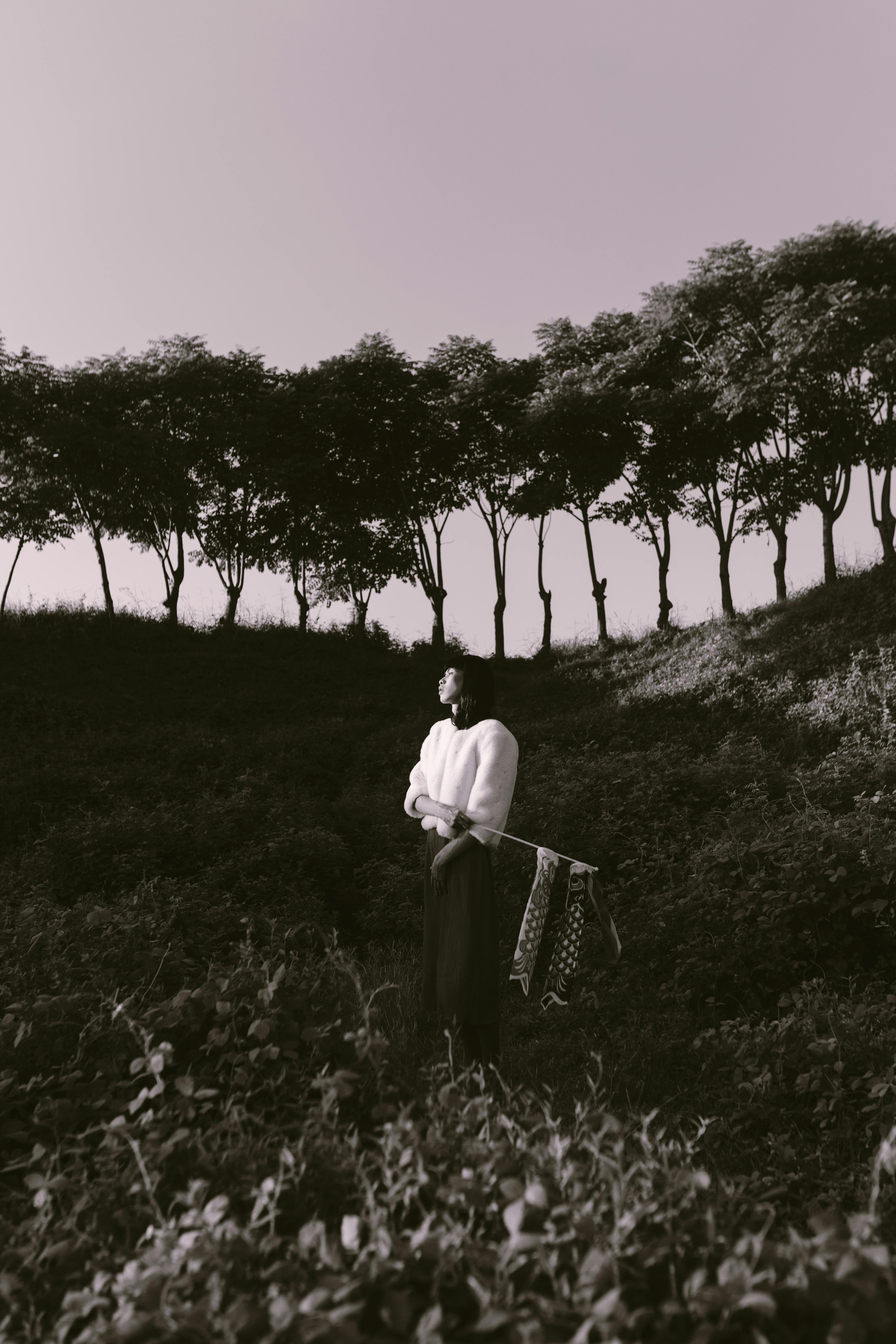 Ücretsiz açık hava, ağaçlar, armoni içeren Ücretsiz stok fotoğraf Stok Fotoğraflar