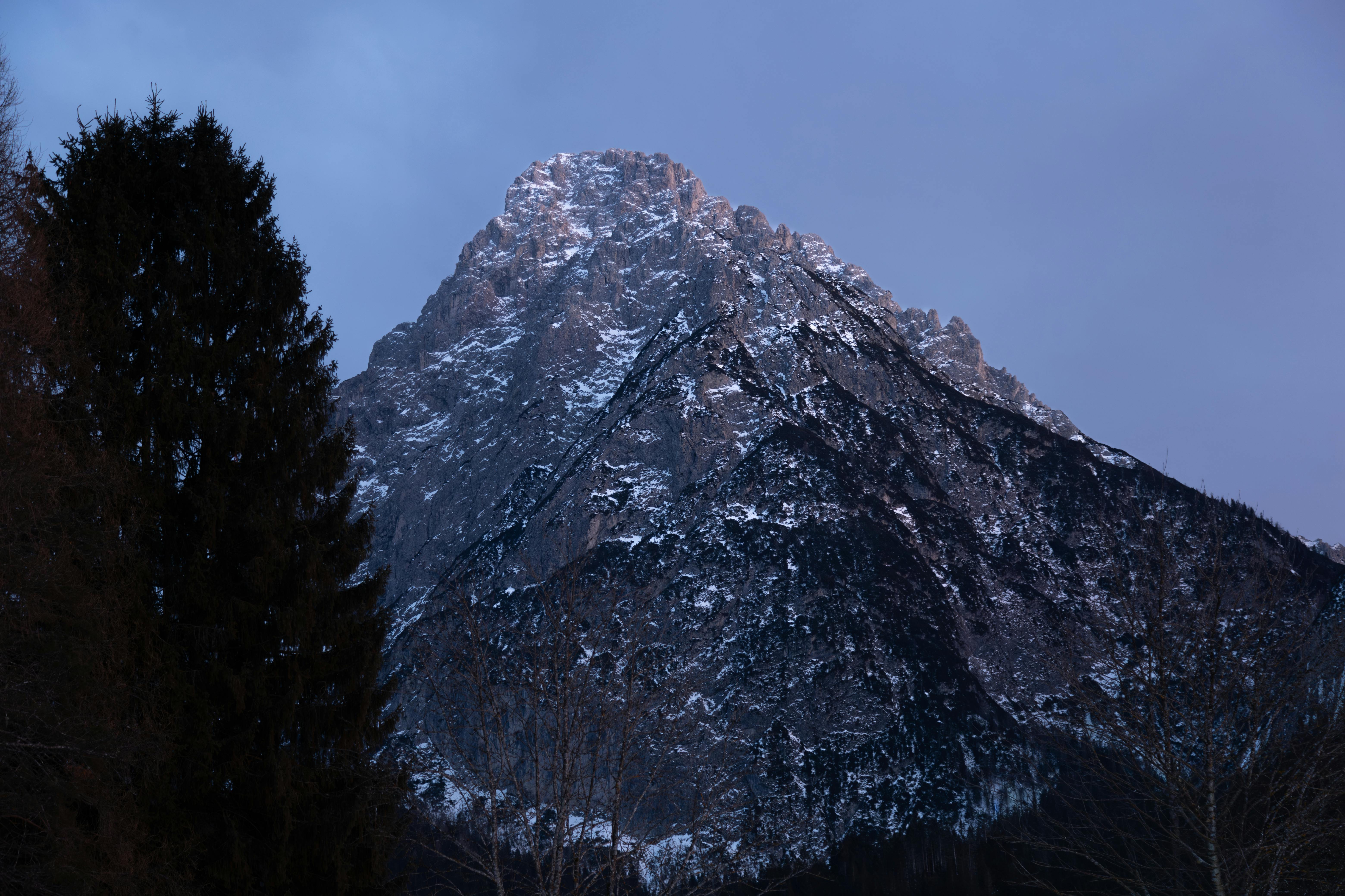 Ücretsiz @dış mekan, açık-fotoğrafçılık, ağaçlar içeren Ücretsiz stok fotoğraf Stok Fotoğraflar