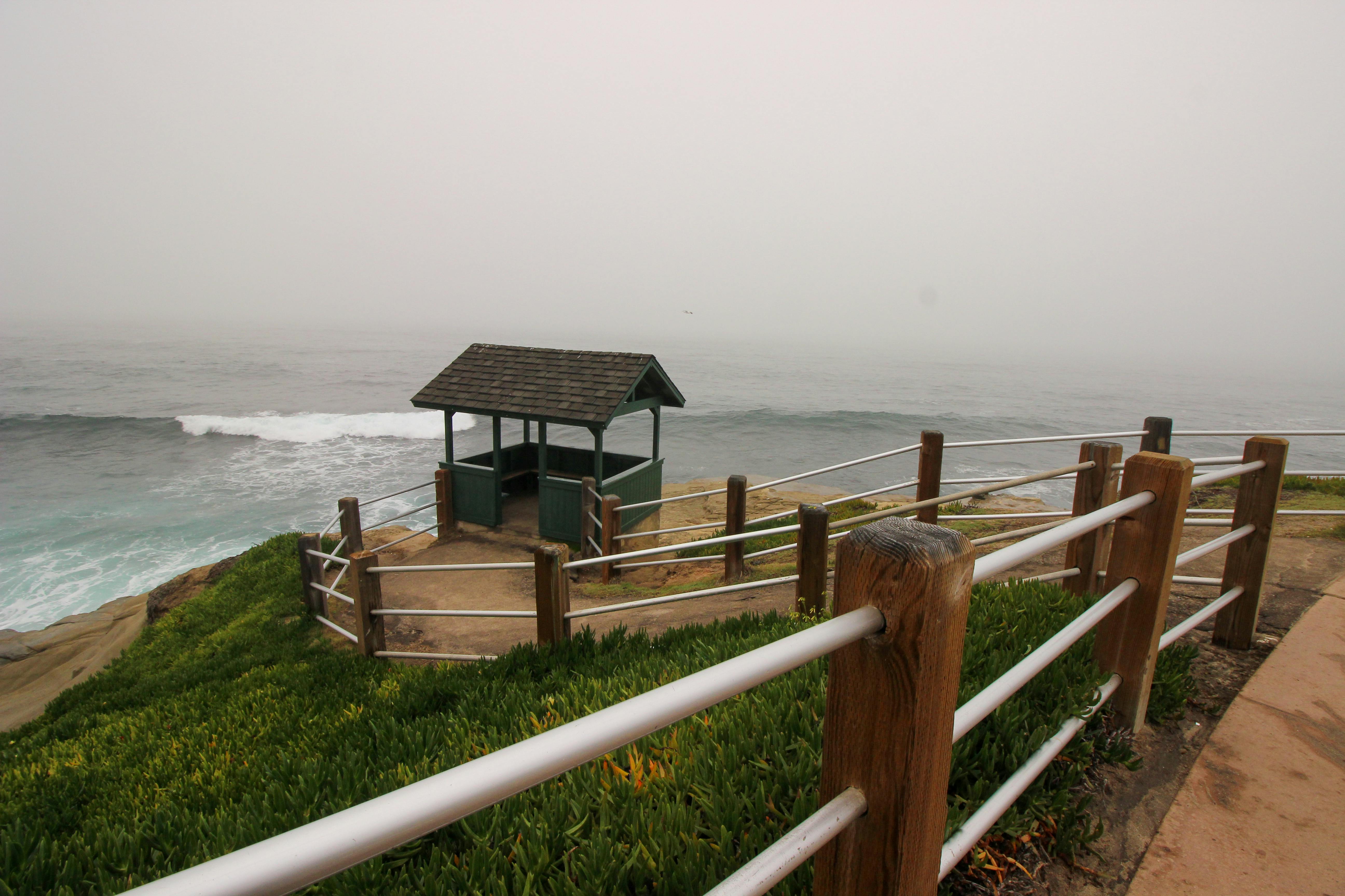 Ilmainen Sumuinen aamunäkymä rannikkonäköalapaikalle La Jollassa, San Diegossa, vihreän kasvillisuuden ja meren aaltojen keskellä. Kuvapankkikuva