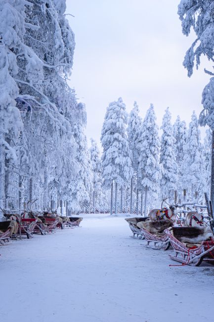 ¿Es real esto? Vuelos por SOLO 131€ a Rovaniemi