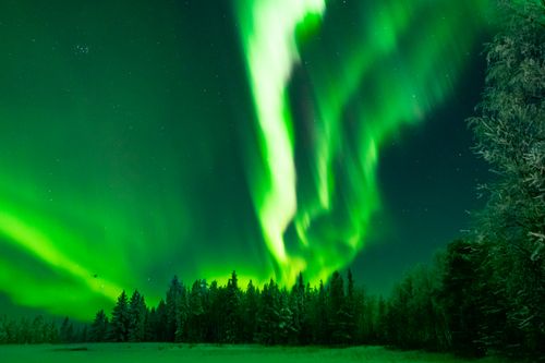 Free Breathtaking aurora borealis illuminating a snowy fir forest in Lapland, Finland, during winter night. Stock Photo