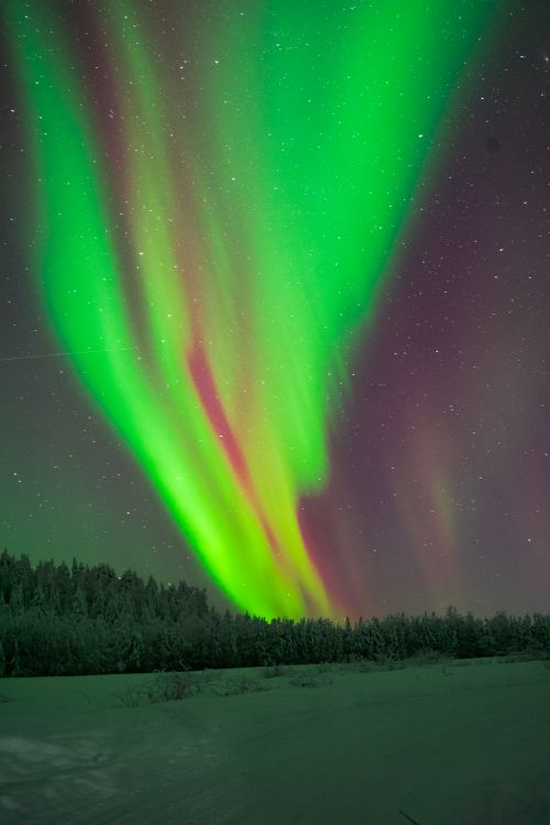 Free Stunning northern lights illuminate the winter sky in Finnish Lapland. Stock Photo