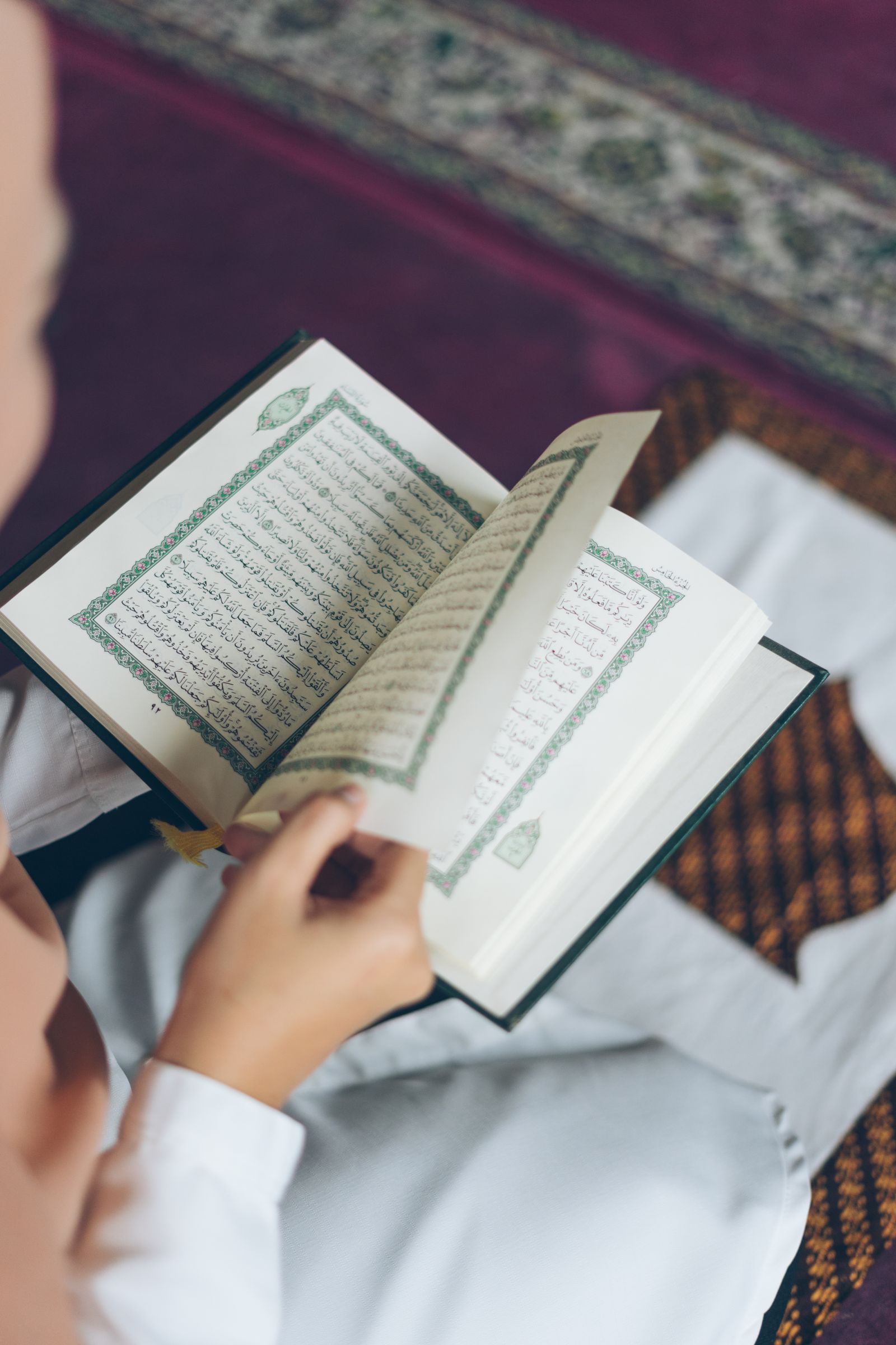 Person studying the Holy Quran