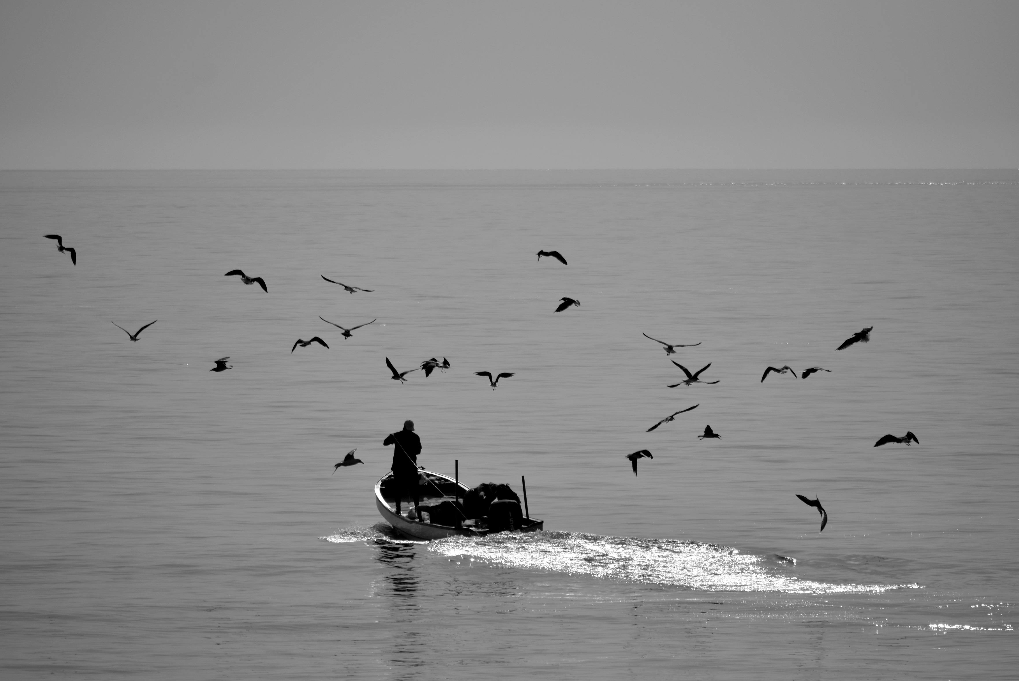 免費 亞洲, 傳統的釣魚, 冒險 的 免費圖庫相片 圖庫相片