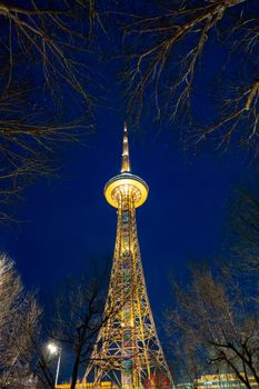 Illuminated Harbin TV Tower against a blue night sky, framed by trees.