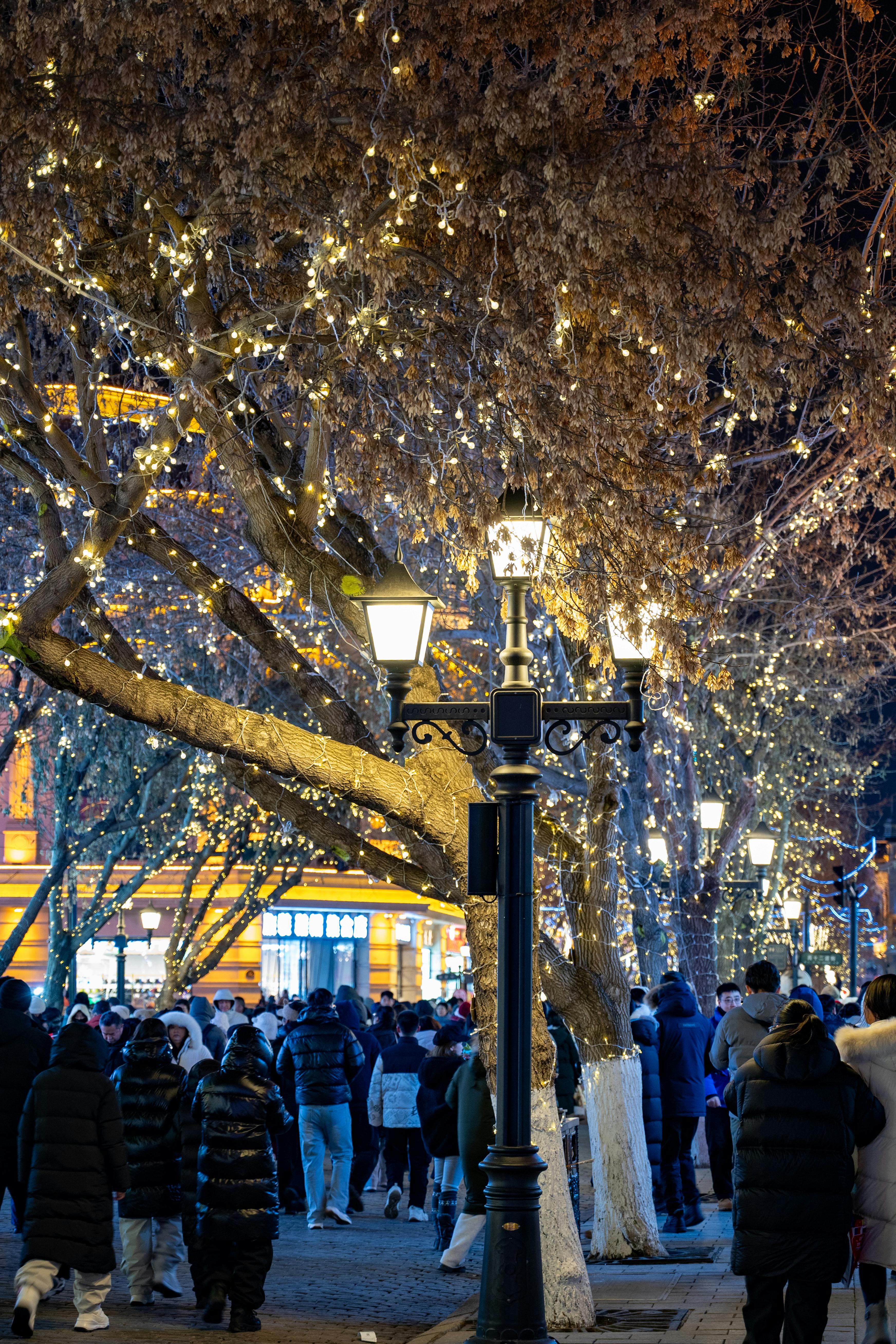 Harbin Winter Street Festival with Lights