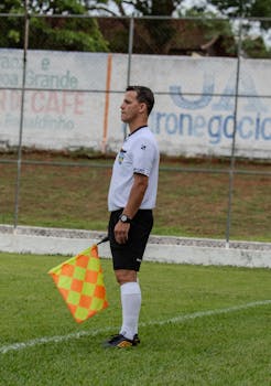 Soccer assistant referee on the sideline holding a flag during a game.