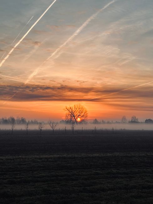 Breathtaking view of a sunset with fog over a rural field, creating a peaceful and serene atmosphere.