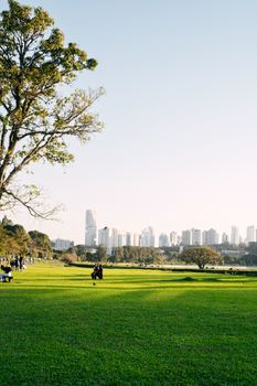 Scenic view of Curitiba's skyline from a vibrant green park under clear blue skies.