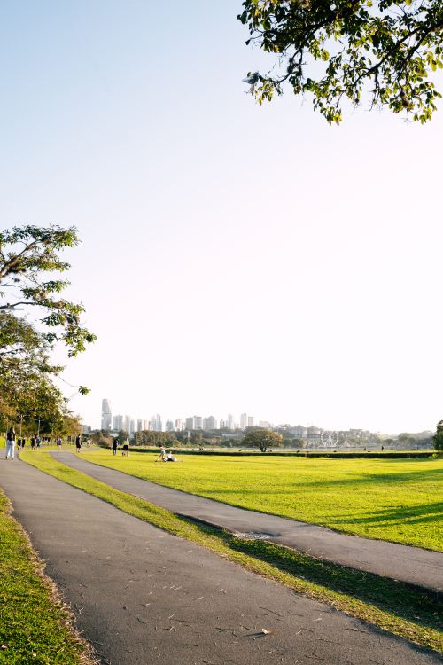 Free A sunny day in Curitiba park with people walking and cityscape view. Stock Photo
