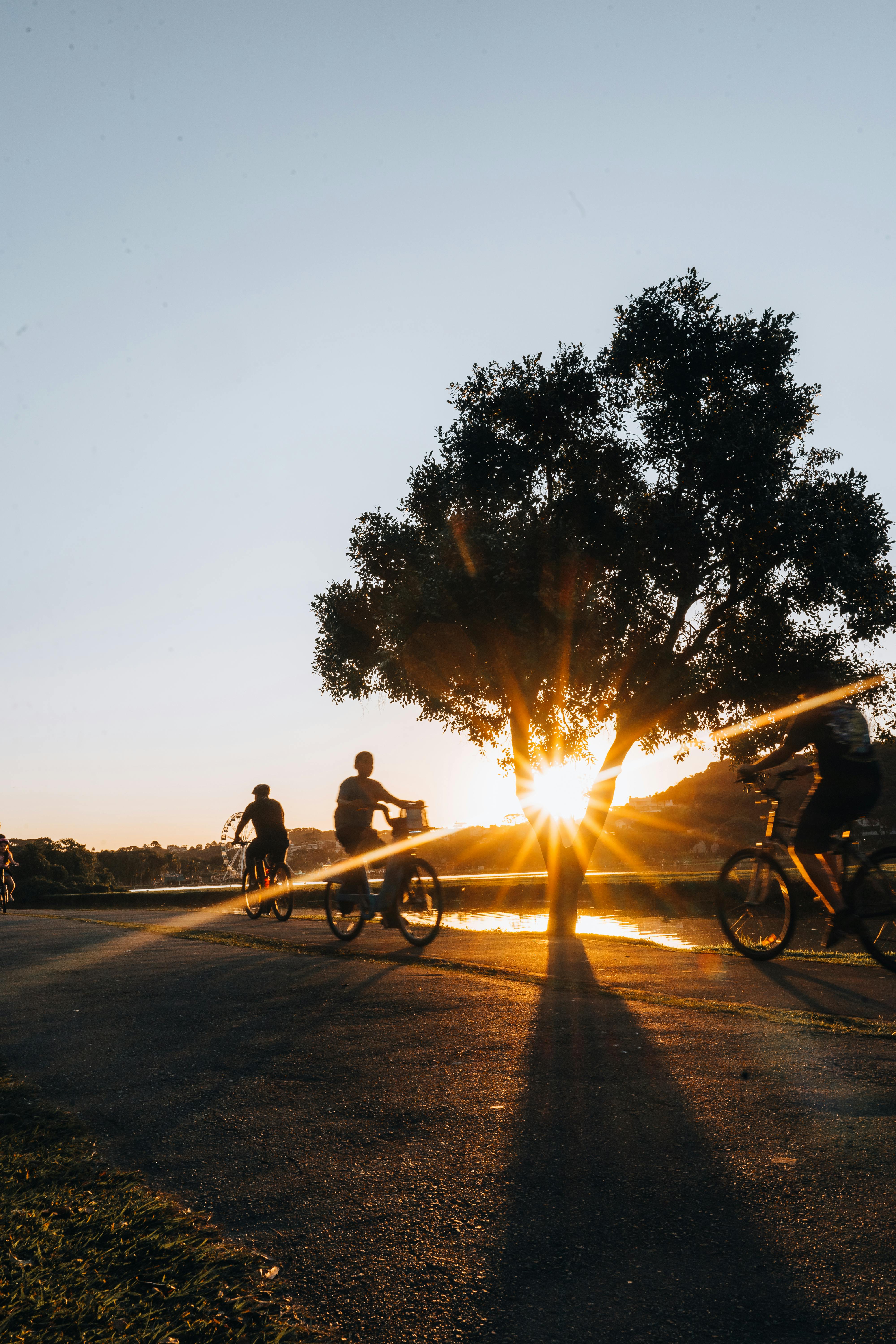 Silhouetted cyclists ride past a tree during a stunning sunset in Curitiba, Brazil.