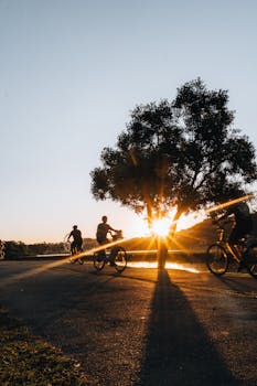 Silhouetted cyclists ride past a tree during a stunning sunset in Curitiba, Brazil.