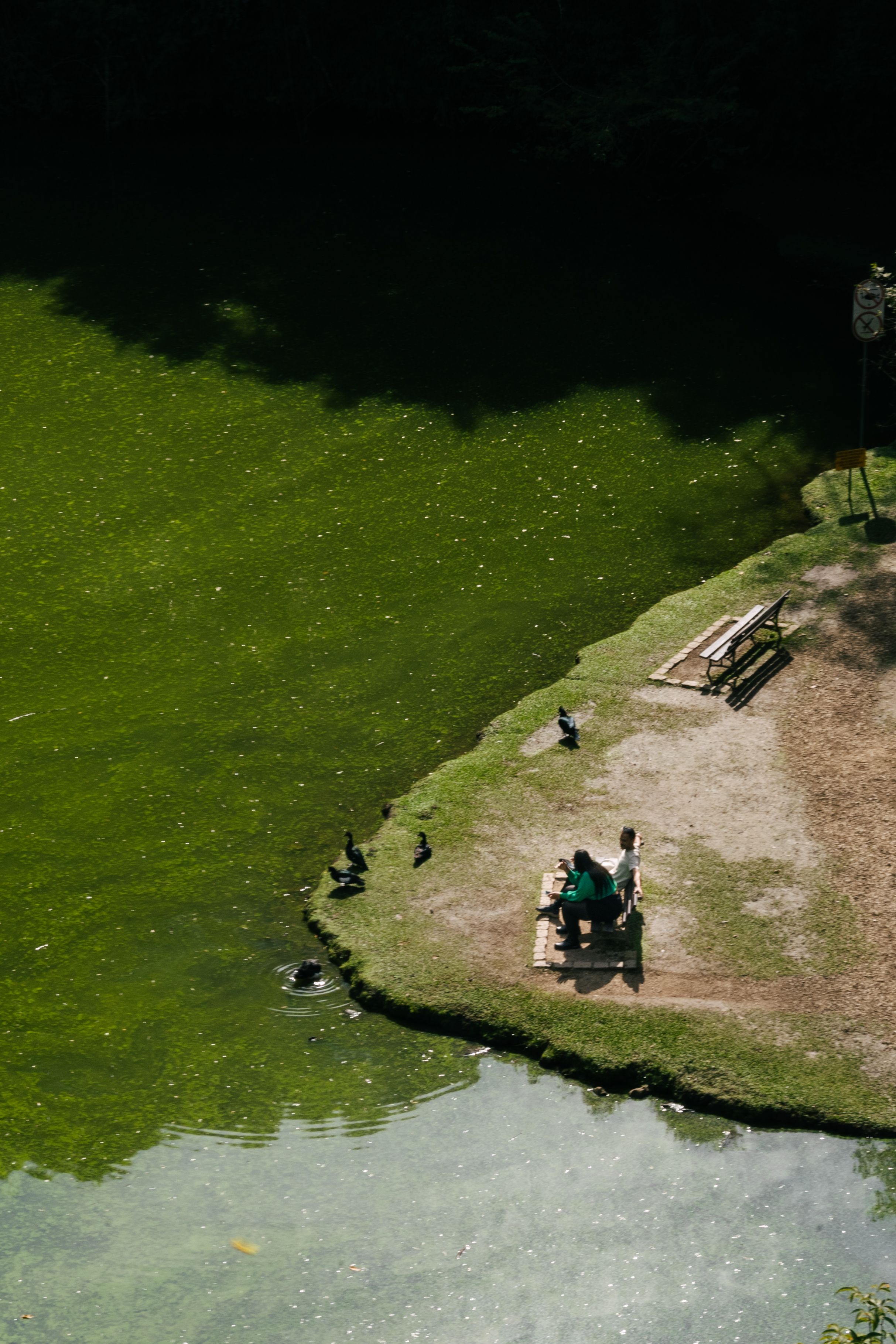 Aerial View of Park Bench Overlooking Pond in Curitiba · Free Stock Photo