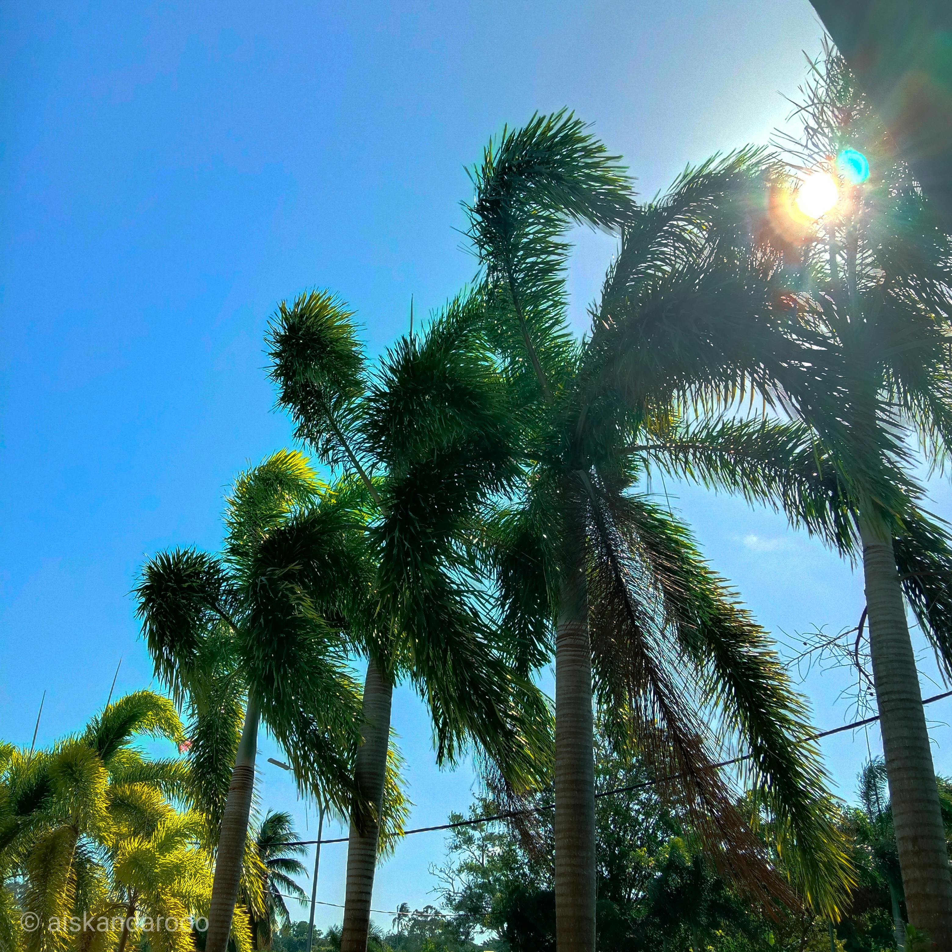 Smoke fire industrial war