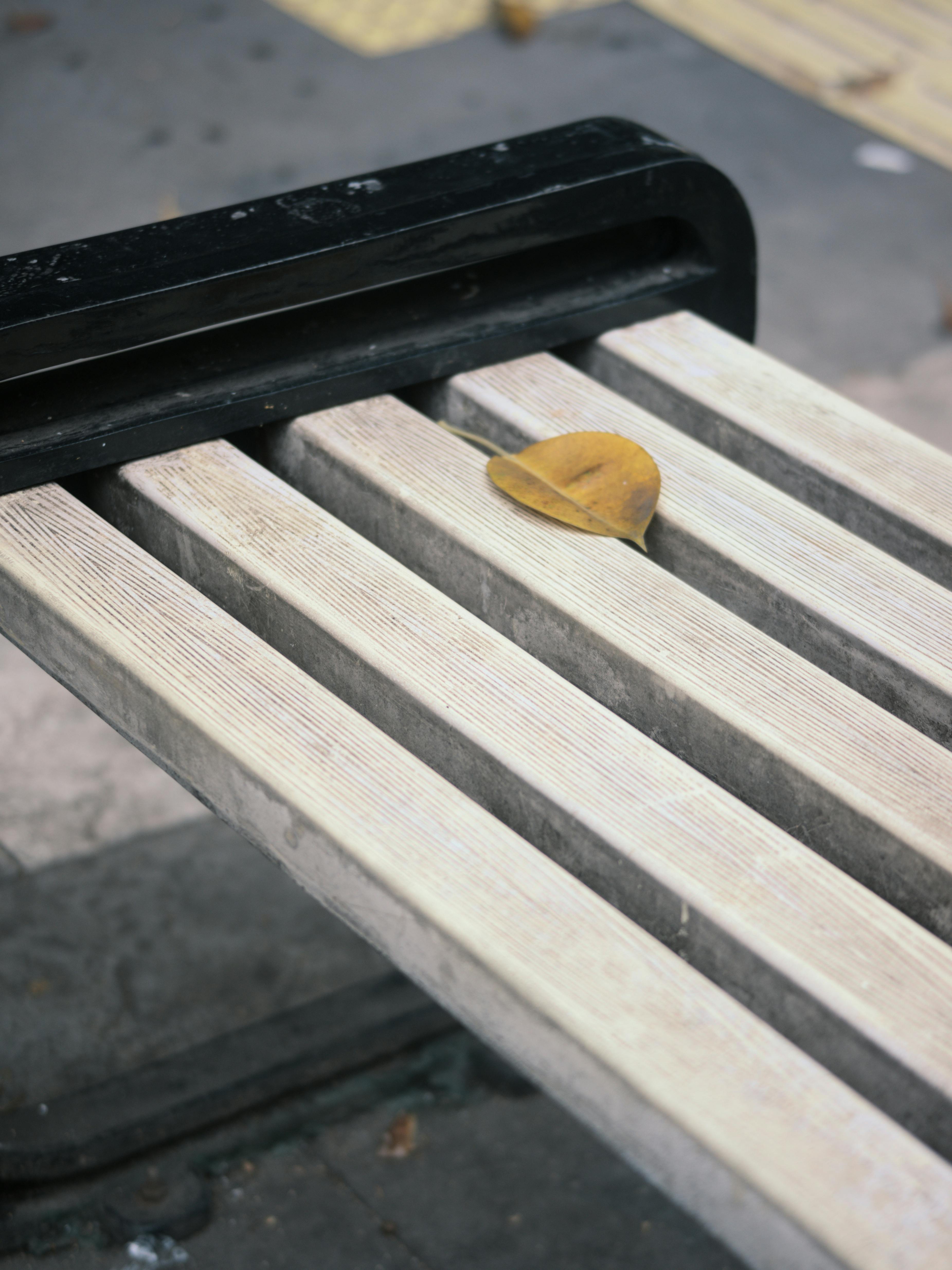 Gratis Sehelai daun kuning yang tergeletak di bangku kayu menggambarkan kesunyian musim gugur. Foto Stok