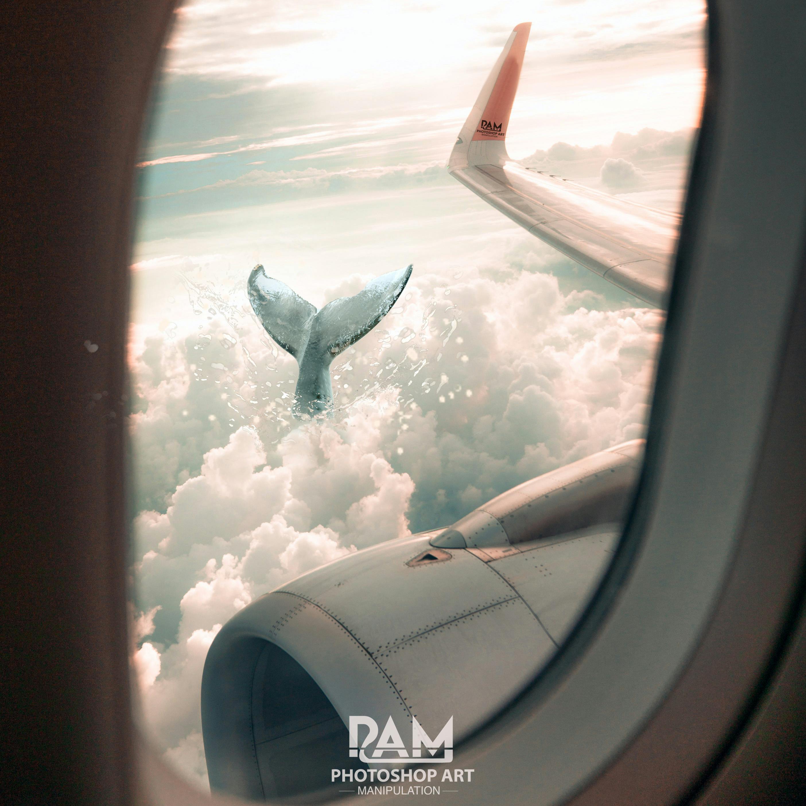 キッズフェスティバル