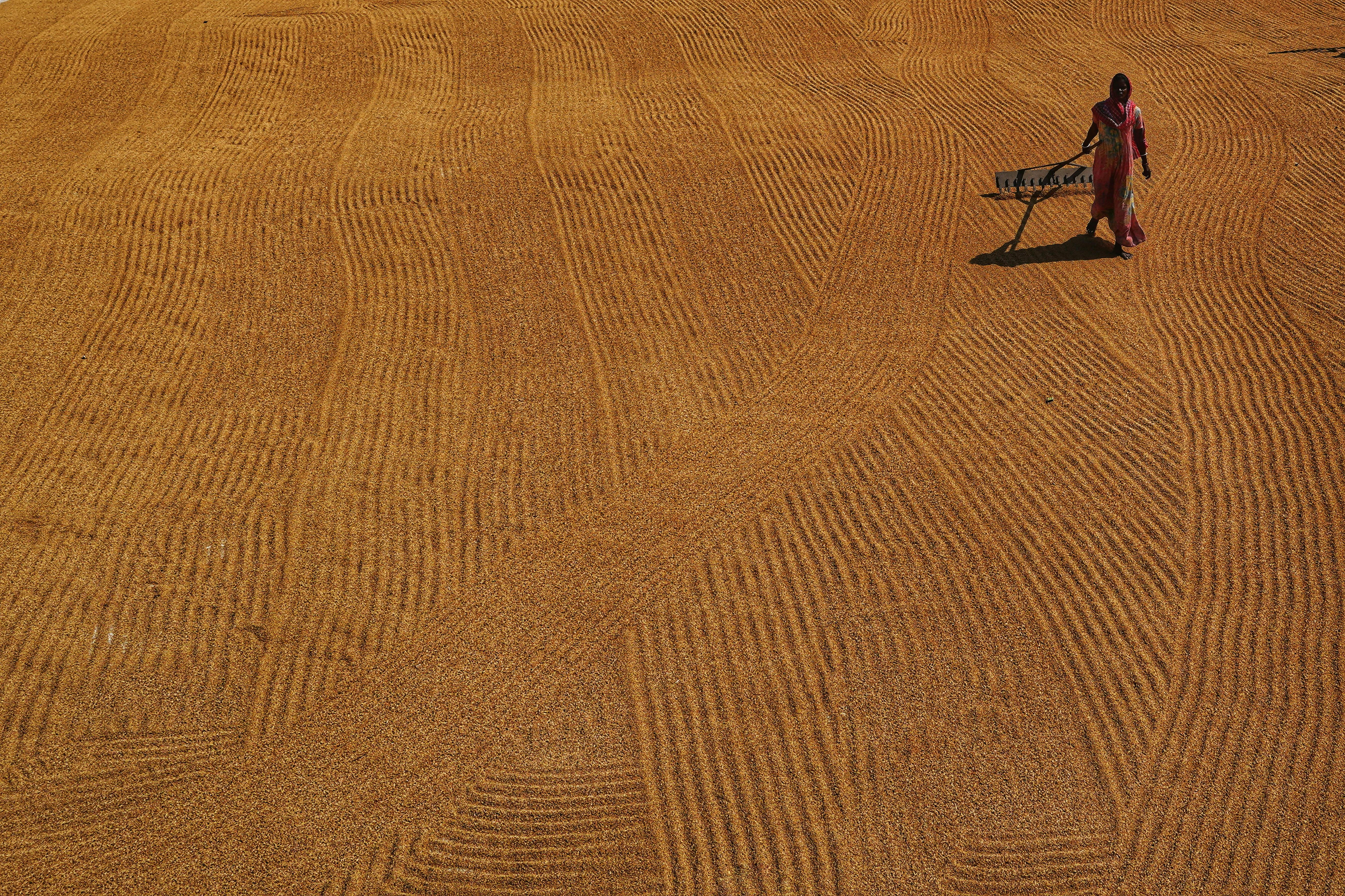 Gratis arkivbilde med @outdoor, abstrakt, abstrakt mønster Arkivbilde