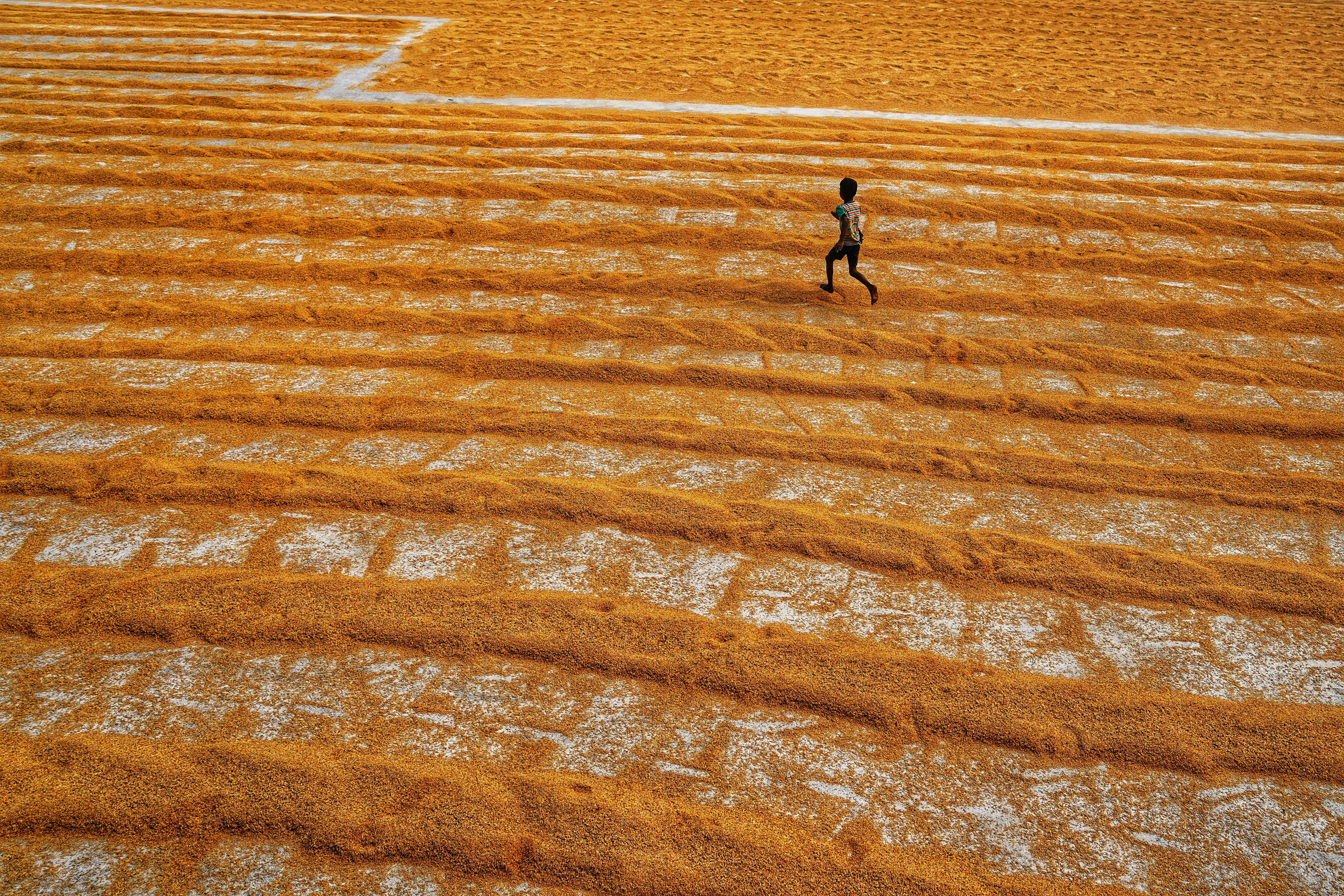 Bezpłatne Człowiek biegnie przez rozległe pole zebranego zboża, tworząc dynamiczny i intrygujący wzór. Zdjęcie z galerii