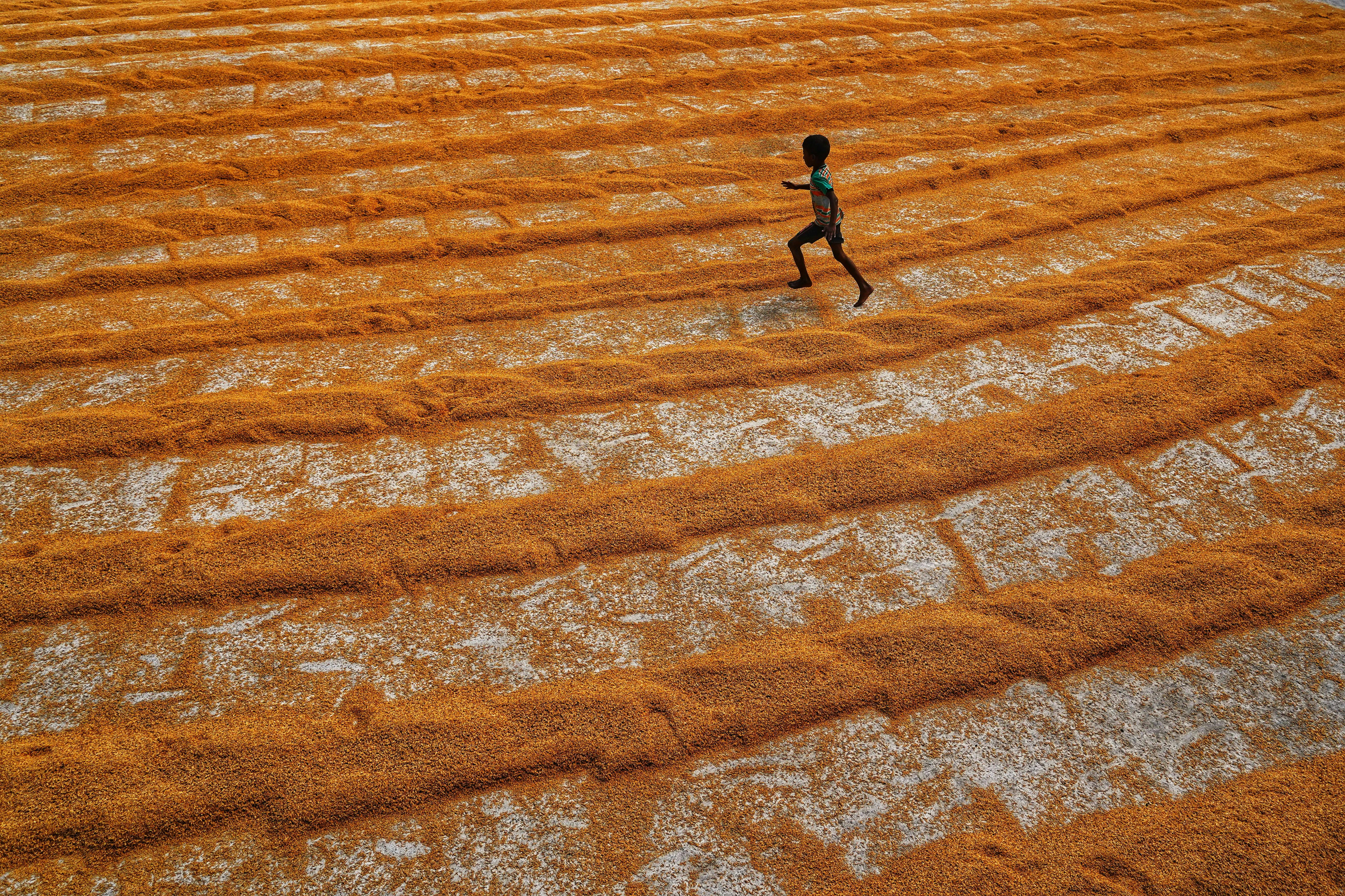 Gratis Foto stok gratis abstrak, agrikultura, aktif Foto Stok