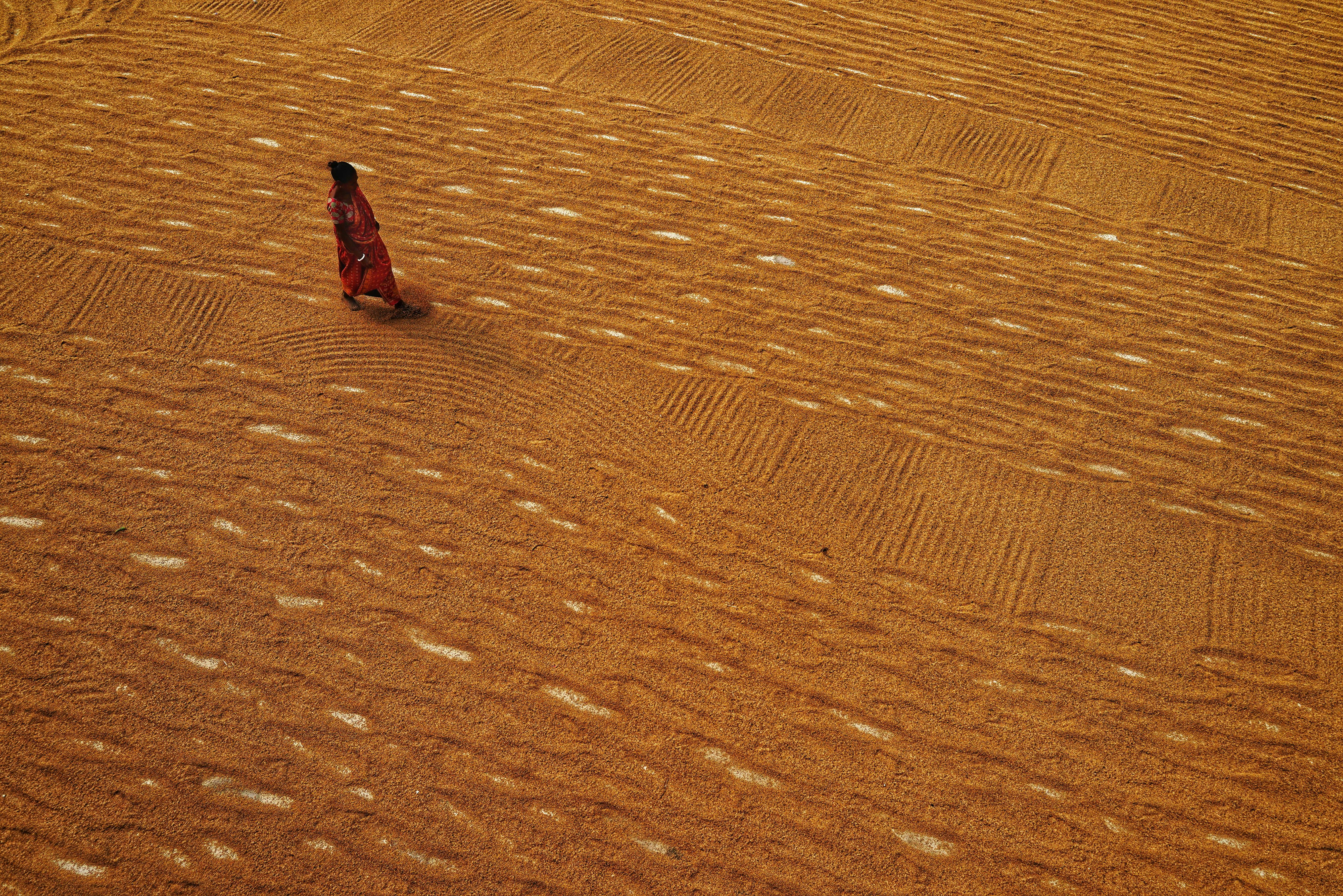 Ücretsiz açık hava, alan deseni, arka fon içeren Ücretsiz stok fotoğraf Stok Fotoğraflar
