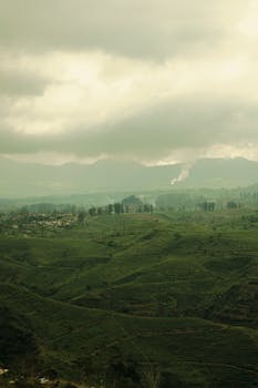 A stunning panoramic view of verdant hills under an overcast sky, creating a serene atmosphere.