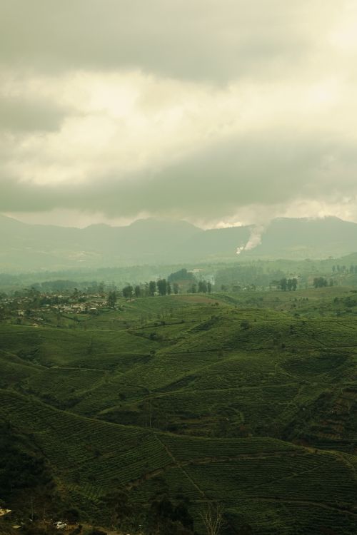 Free A stunning panoramic view of verdant hills under an overcast sky, creating a serene atmosphere. Stock Photo