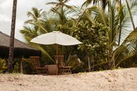 Relaxing tropical beach setting with sun loungers and umbrella amidst palm trees.