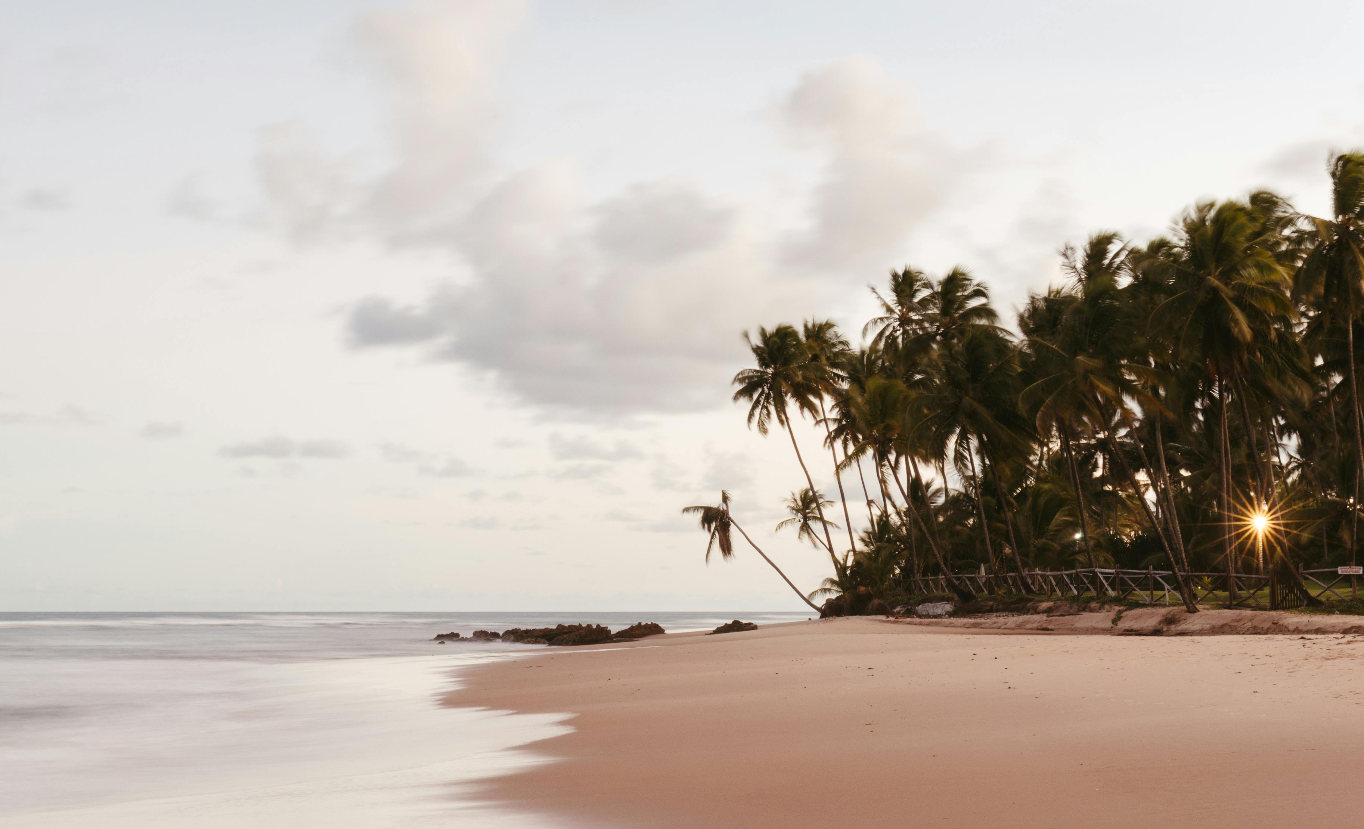 Bezpłatne Spokojna i cicha tropikalna plaża z palmami o zachodzie słońca, oferująca atmosferę odprężenia. Zdjęcie z galerii