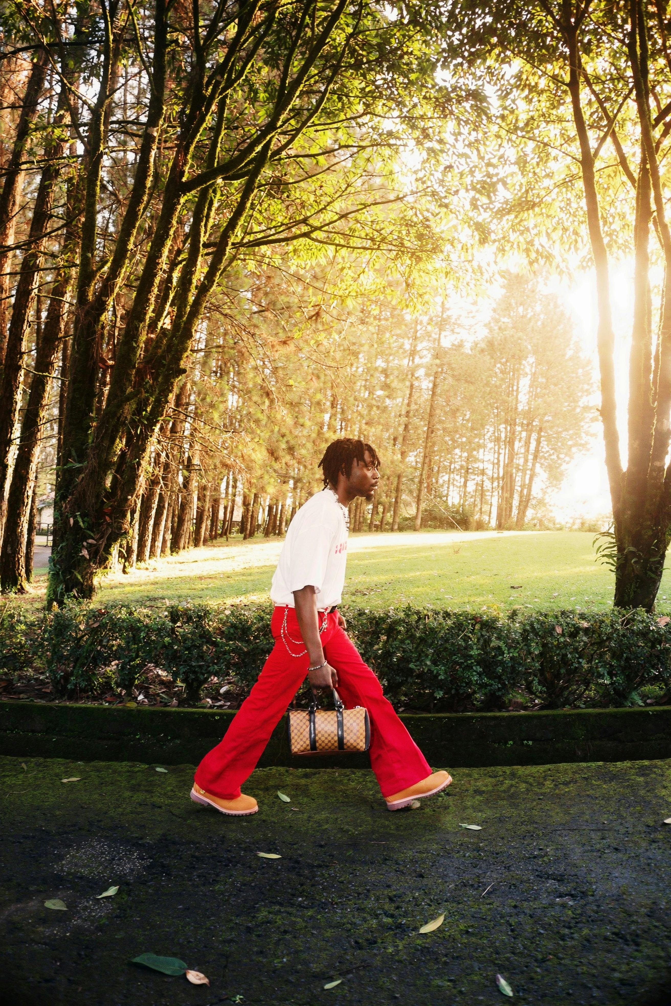 Bezpłatne Osoba ubrana w czerwone spodnie i białą bluzkę spaceruje po parku w słoneczny dzień, a jej cienie rzucają cień na drzewa. Zdjęcie z galerii