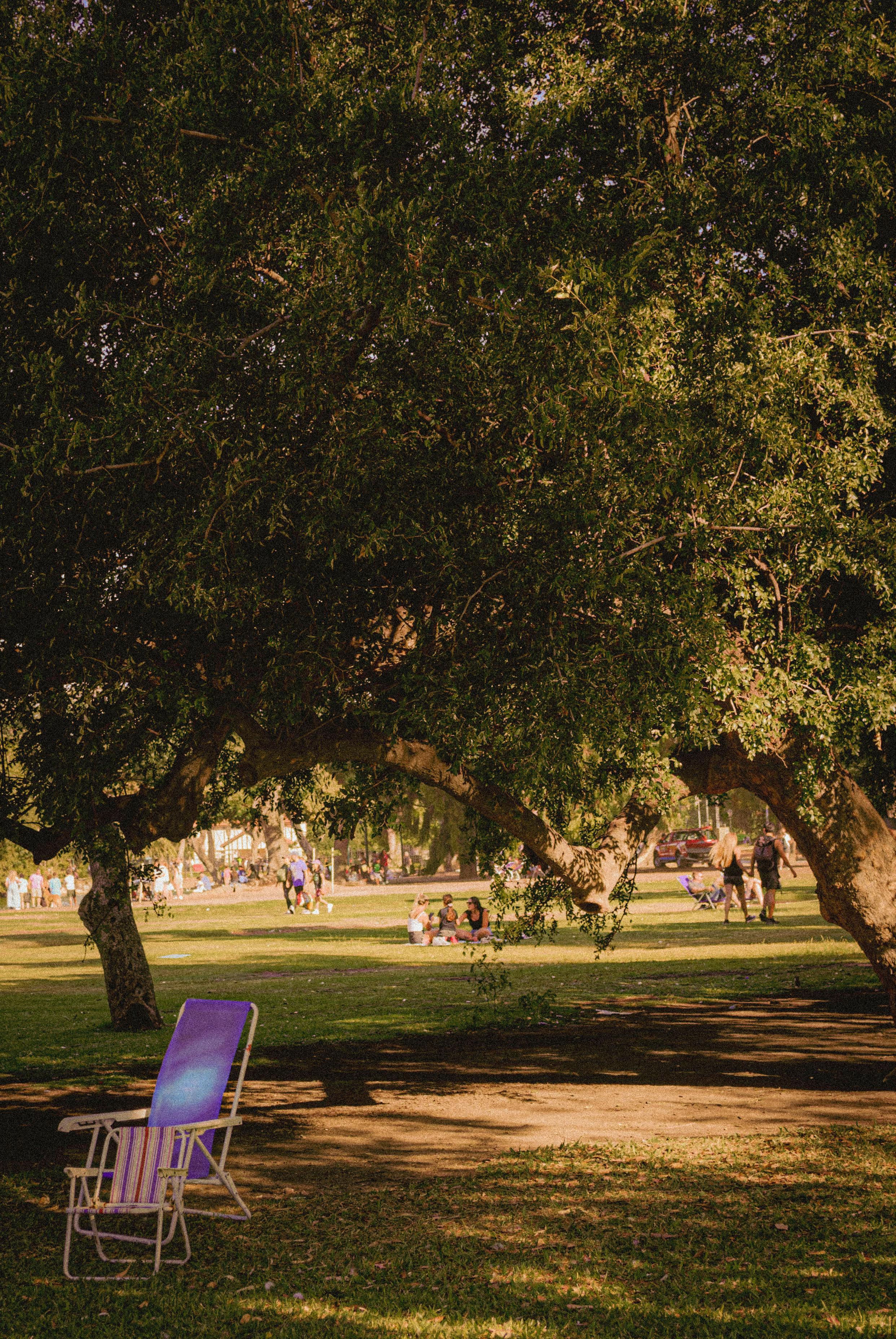 Bezpłatne Słoneczny dzień w parku w Buenos Aires. Fioletowe krzesło i ludzie cieszący się wolnym czasem. Zdjęcie z galerii