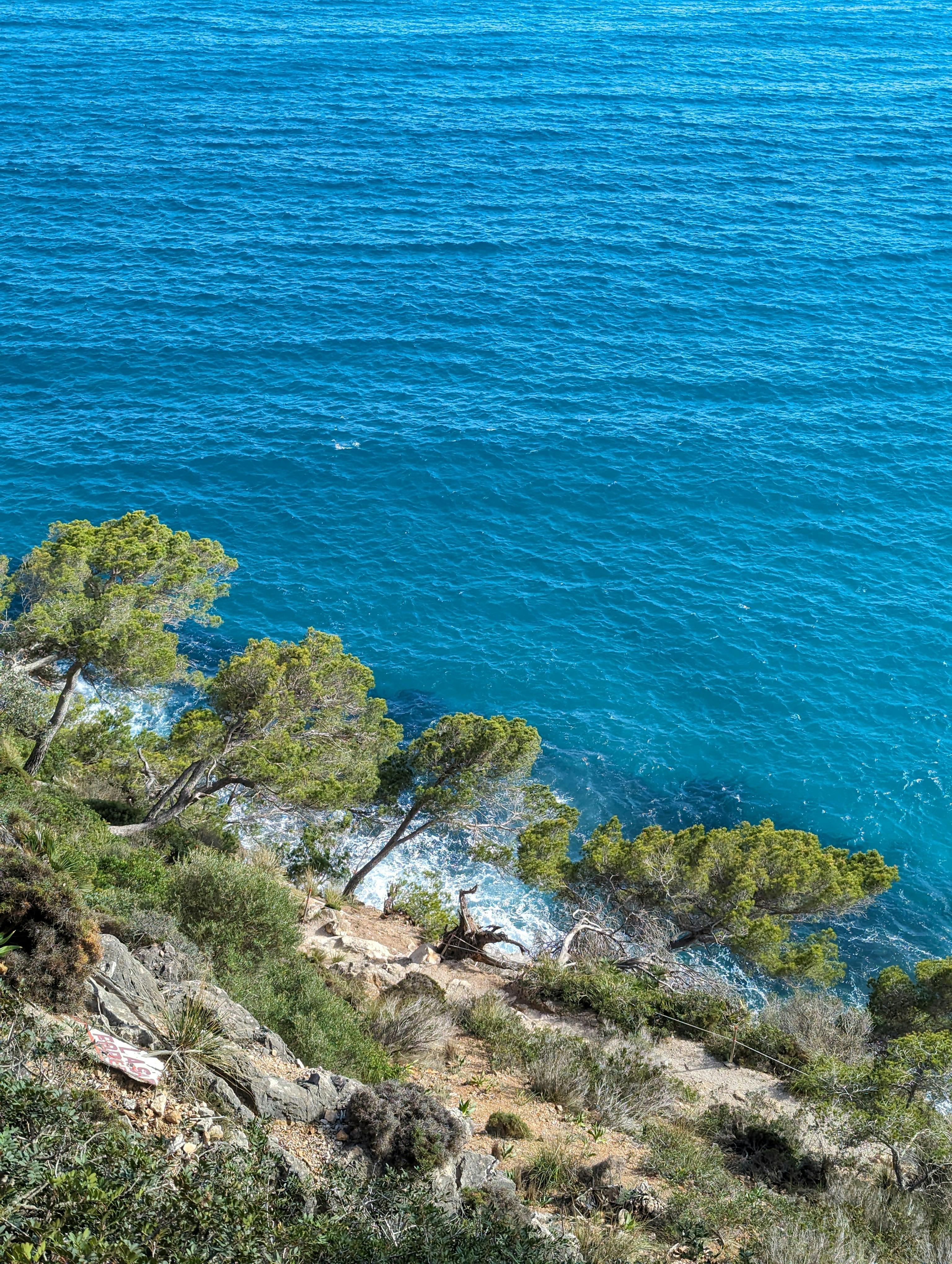 Gratis Pemandangan udara dari garis pantai berbatu dengan perairan berwarna biru kehijauan dan pepohonan pinus hijau. Foto Stok