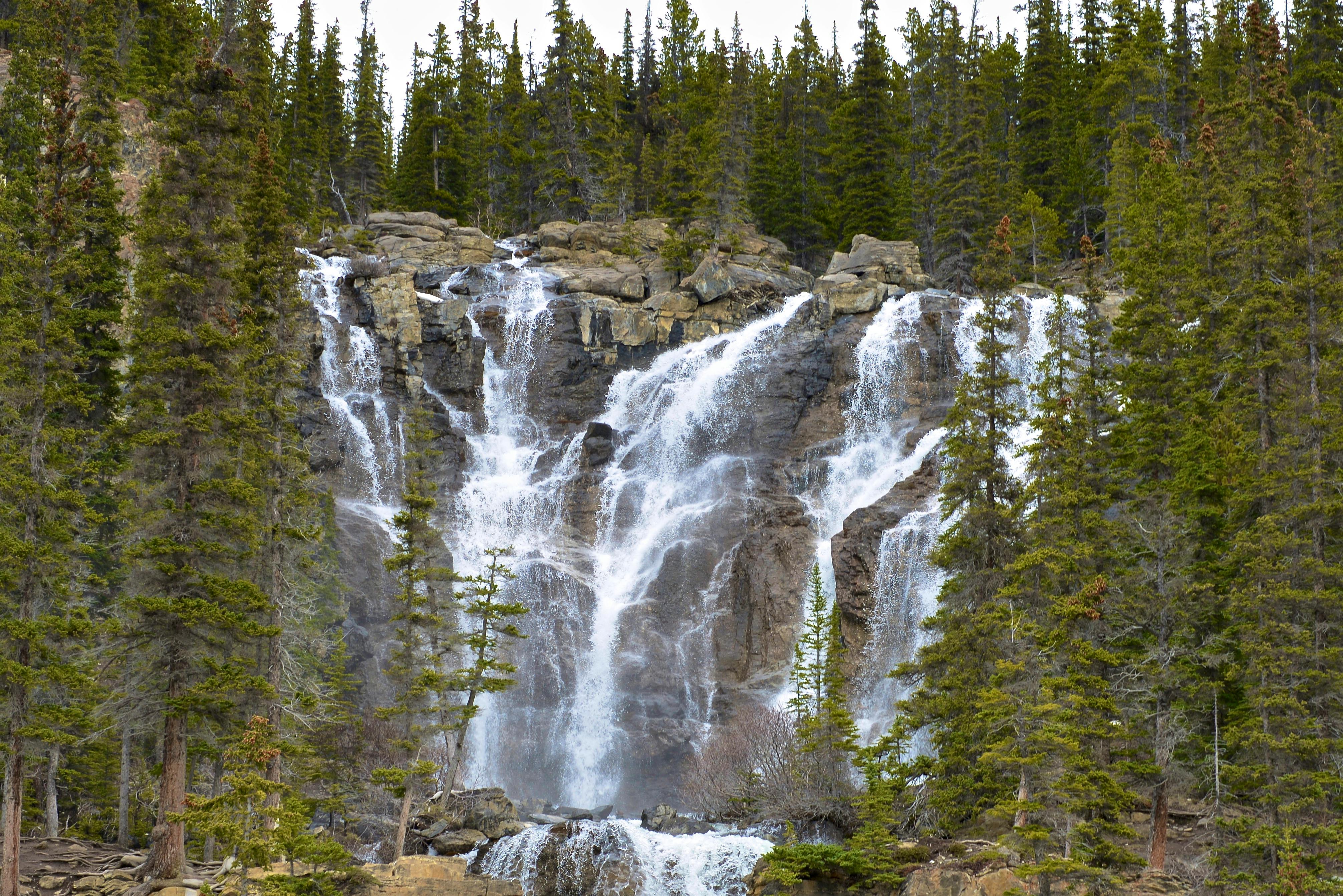 Gratis Et fantastisk vandfald flyder mellem frodige stedsegrønne træer og skaber et fredfyldt natursceneri. Lagerfoto