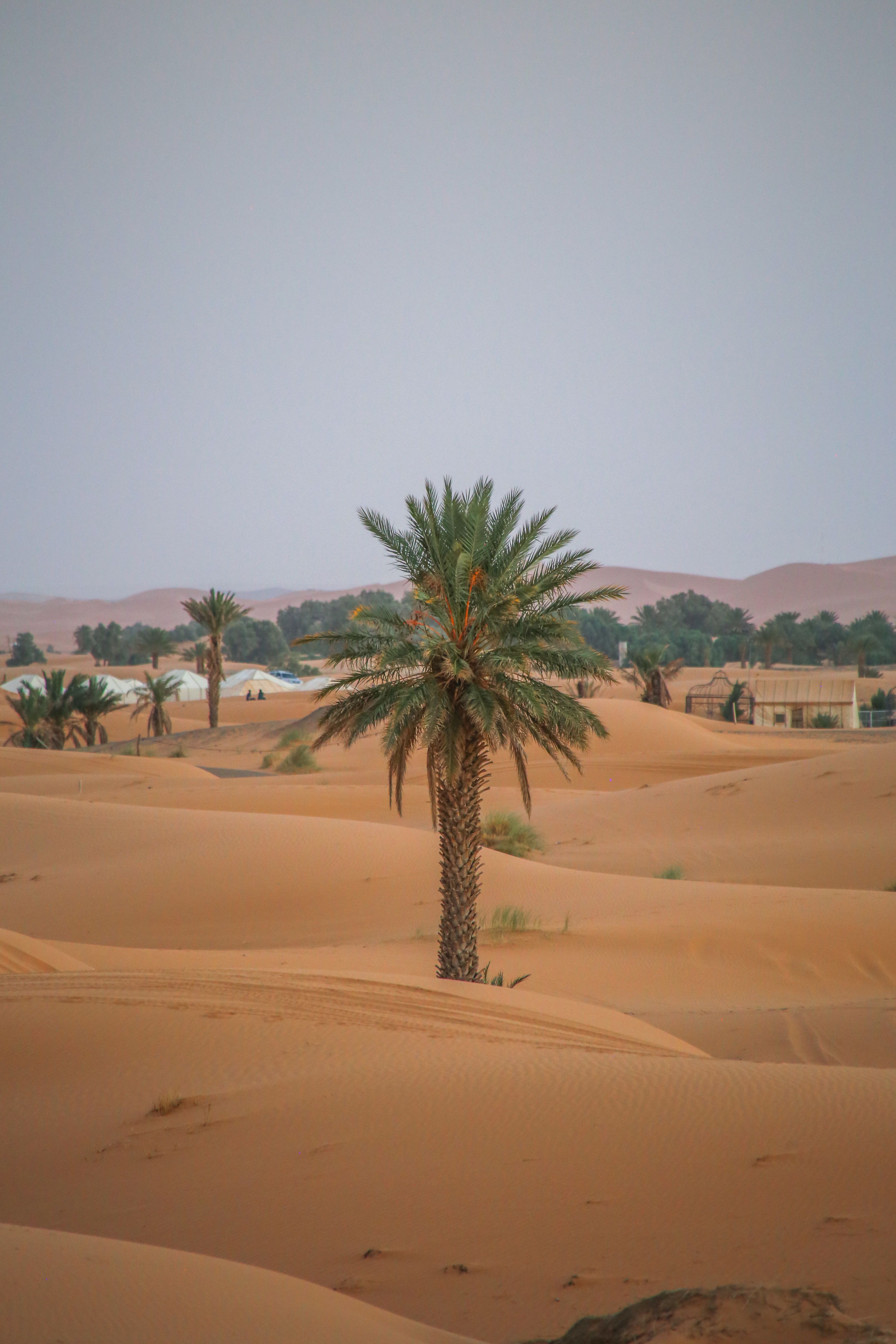 Erg Chebbi Dunes