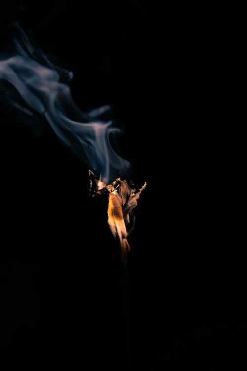 Free A mesmerizing image of smoke arising from a burning plant against a black background. Stock Photo