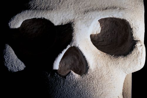 Free Detailed view of a sculptural skull with dramatic shadows and textures. Stock Photo