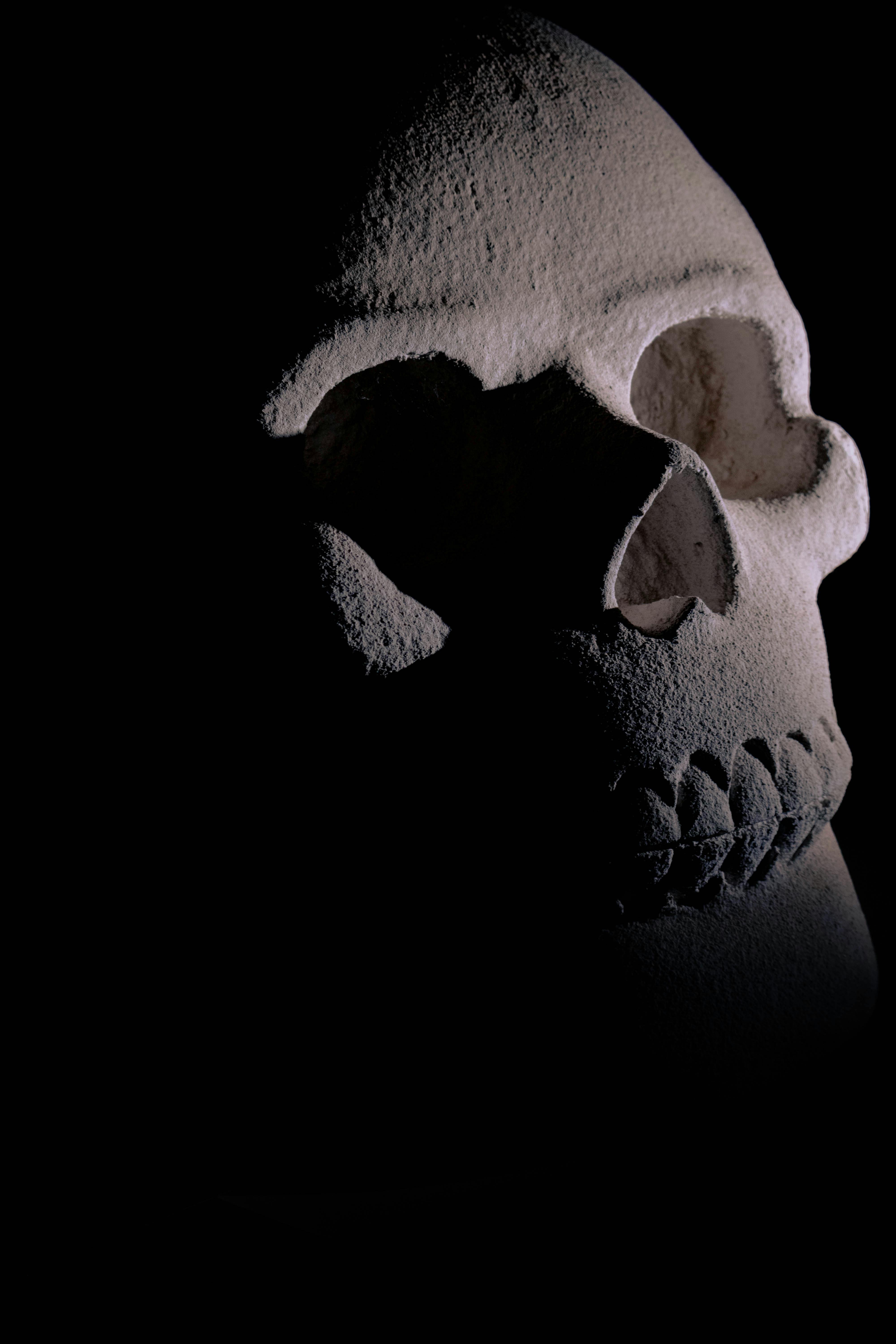 Bezpłatne Dramatyczne zbliżenie kamiennej czaszki rzucającej cienie, uwydatniające jej fakturę i formę. Zdjęcie z galerii