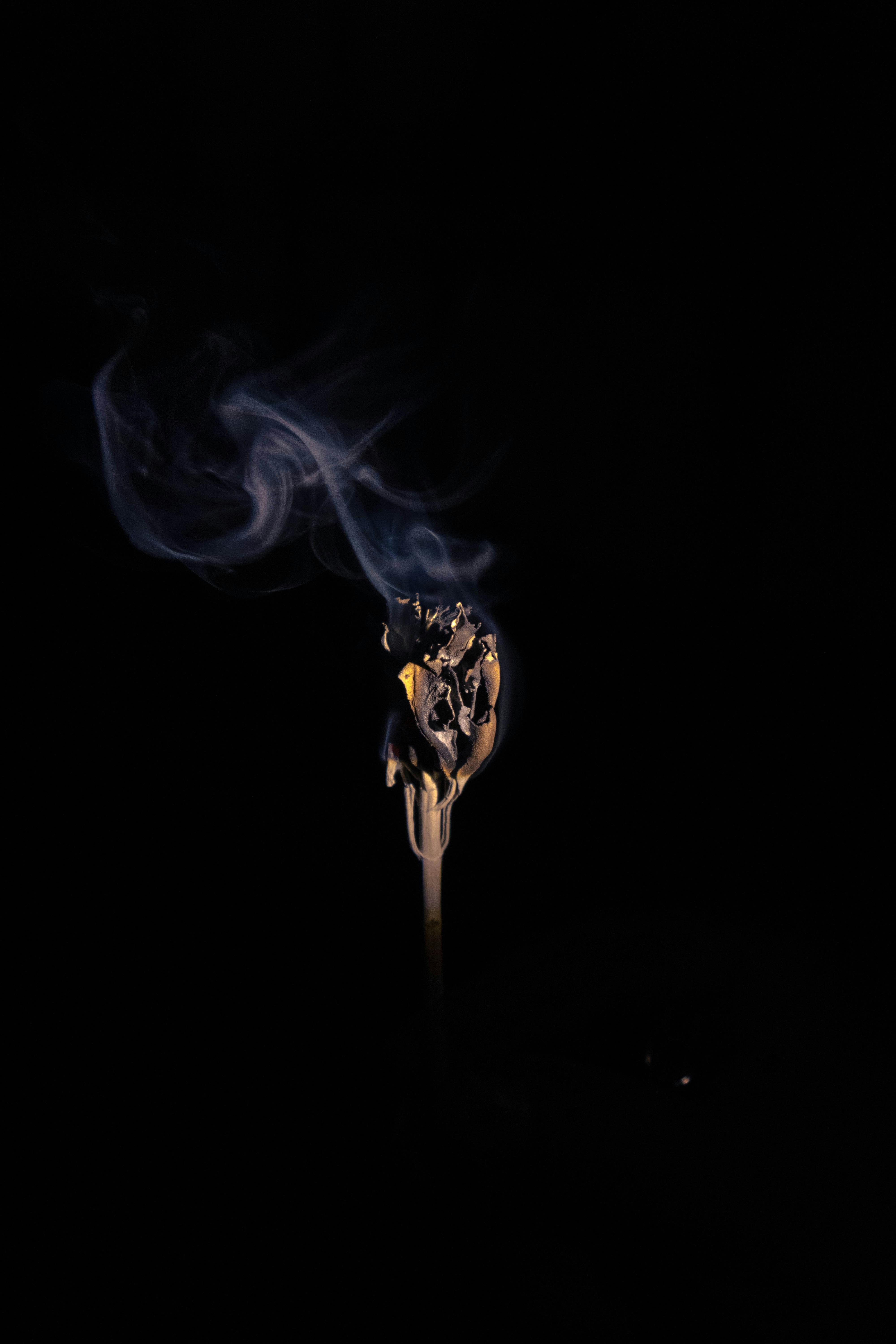 Gratis lagerfoto af brænde, brand, brandbar Lagerfoto