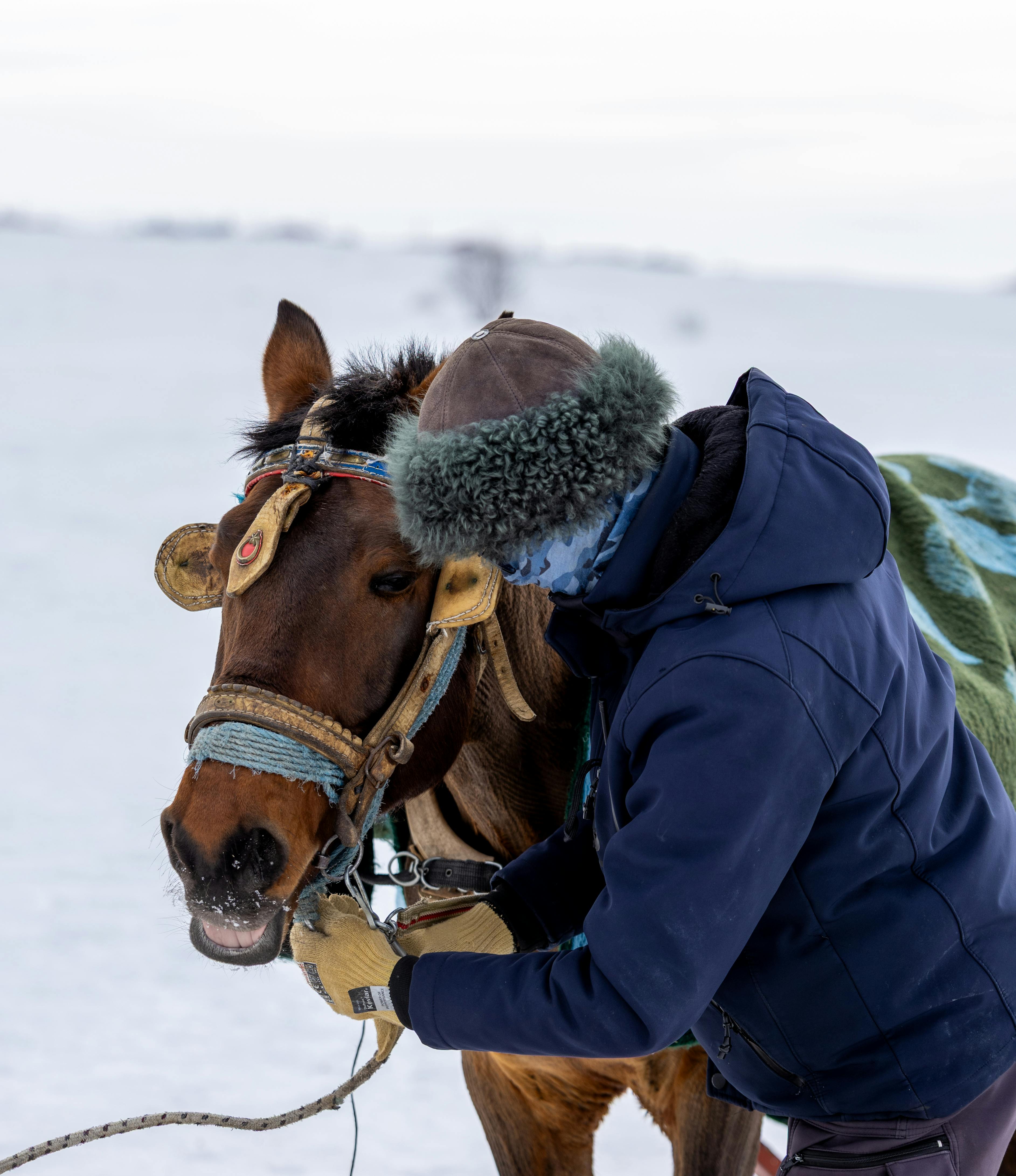 A person warmly dressed interacting with a horse in a snowy outdoor setting in Türkiye.