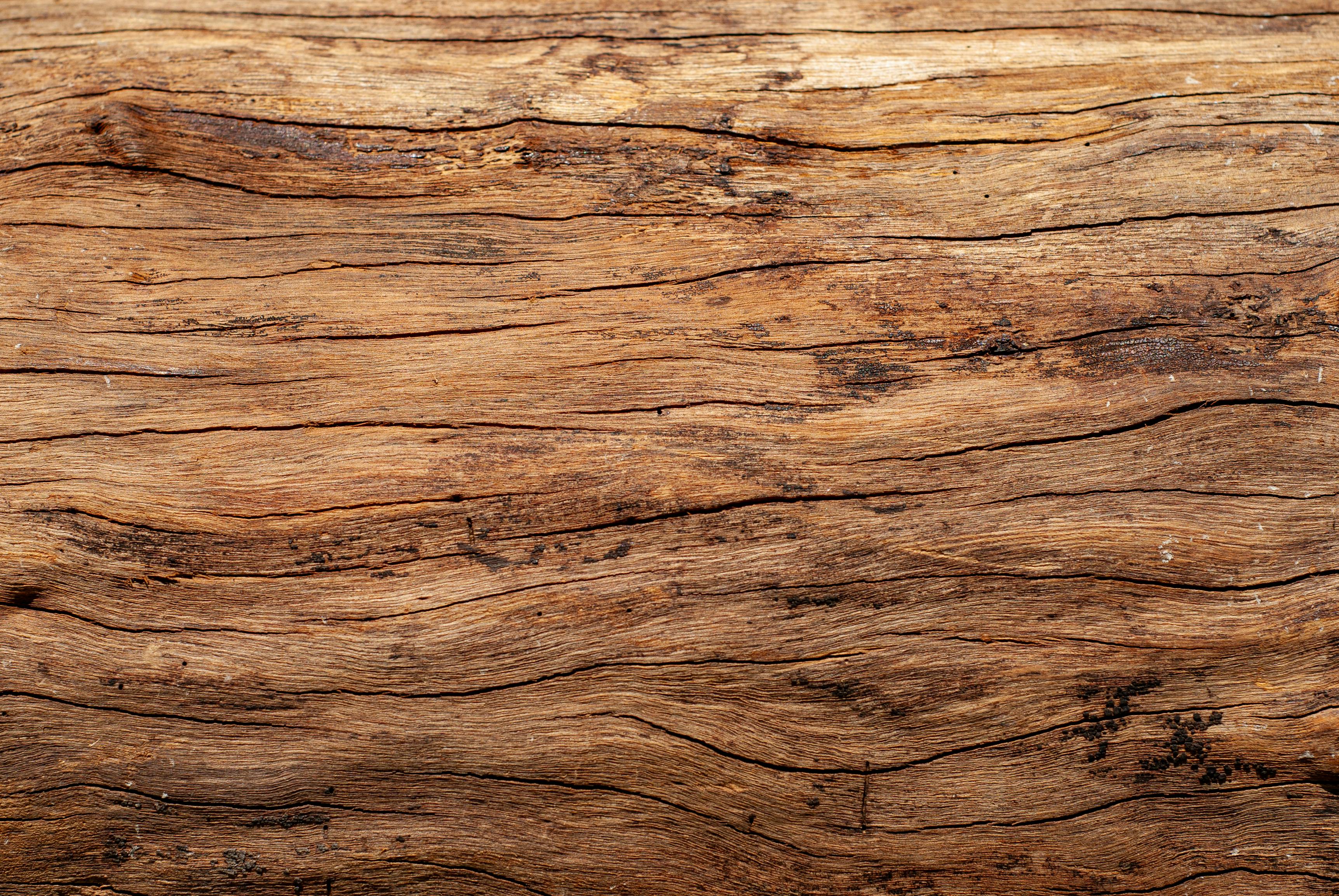 Gratis Tampilan dekat tekstur kayu tua yang memperlihatkan pola serat alami dan warna-warna tanah. Foto Stok