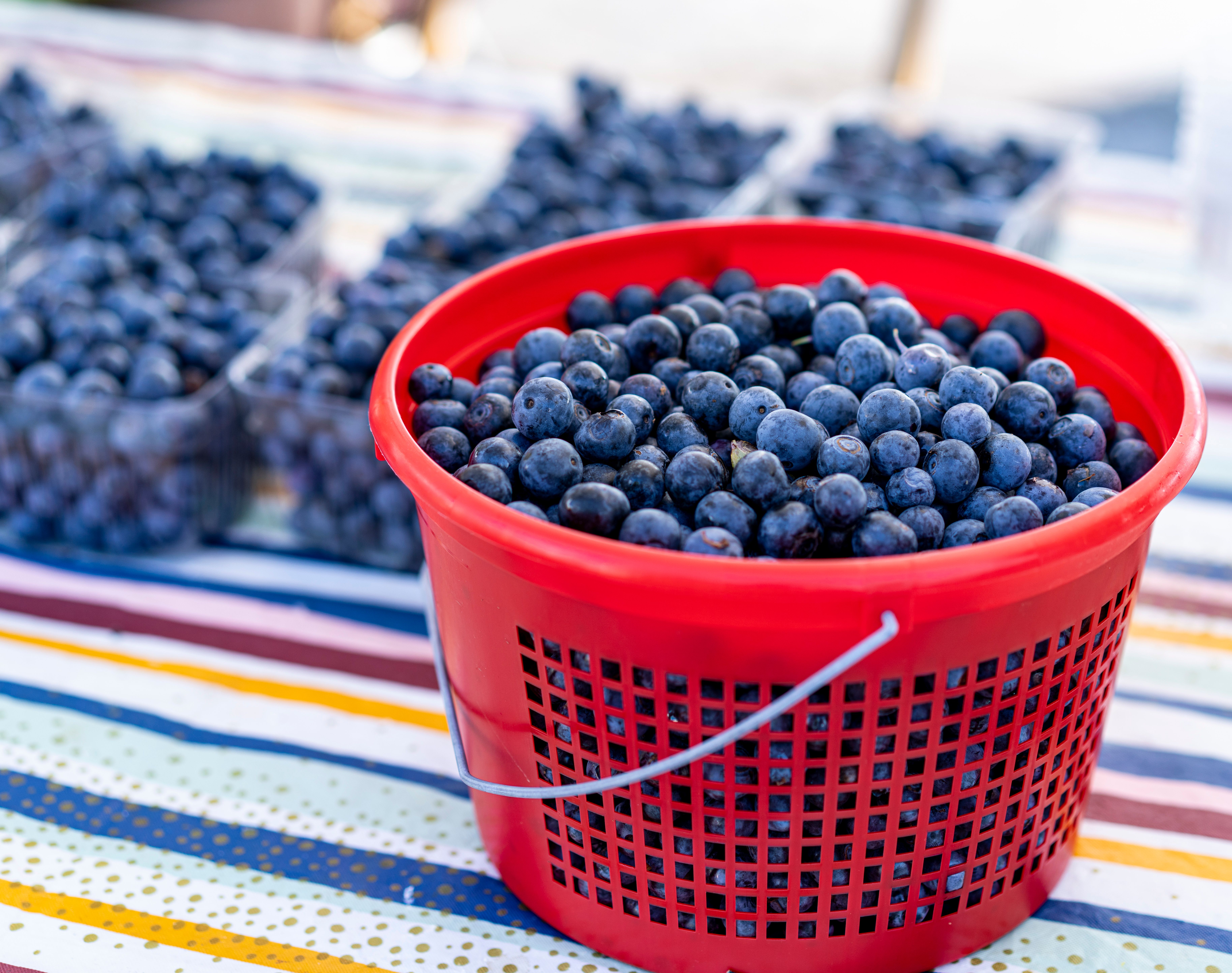 A red basket filled with fresh blueberries on a colorful market table outdoors.
