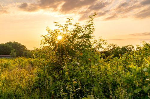 Free Beautiful sunset illuminating a lush green landscape with vibrant foliage and a serene sky. Stock Photo