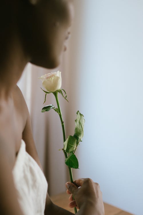 白いバラを保持している女性