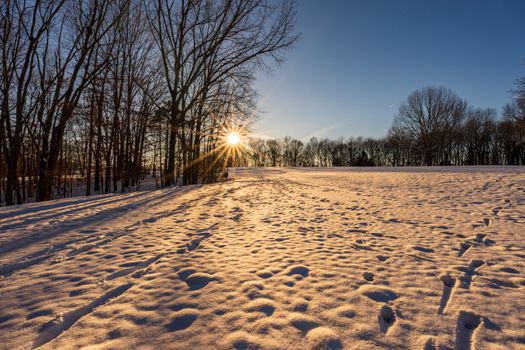 A serene winter scene with snow-covered field and sunrise through trees.