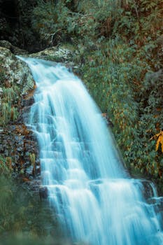 在乡村环境中，长时间拍摄那周围环绕着茂密绿植、流畅流动的瀑布