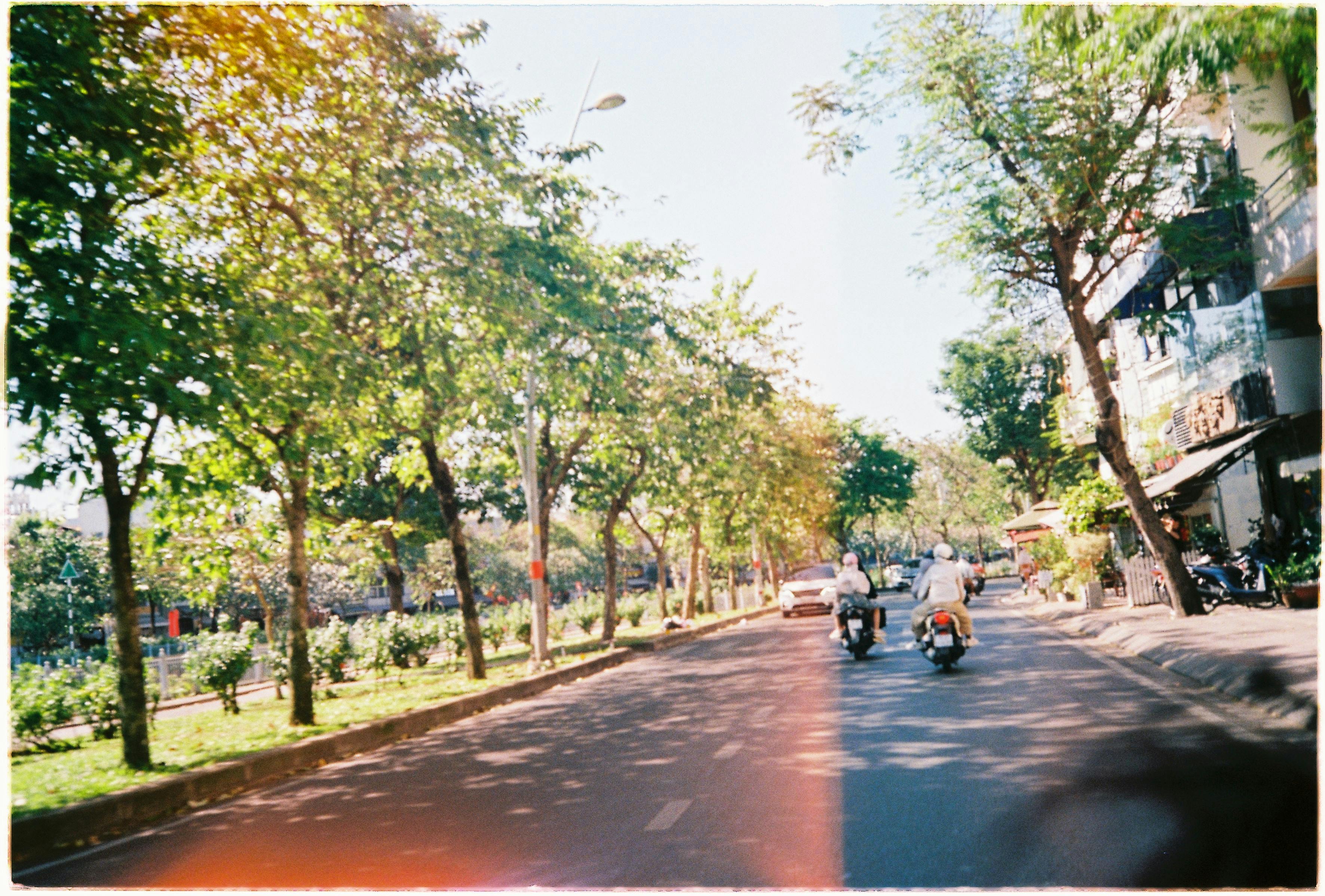 Ücretsiz Ho Chi Minh şehrinde motosikletlerin hareketli sokak manzarası, yol kenarlarını süsleyen yemyeşil ağaçlar. Stok Fotoğraflar