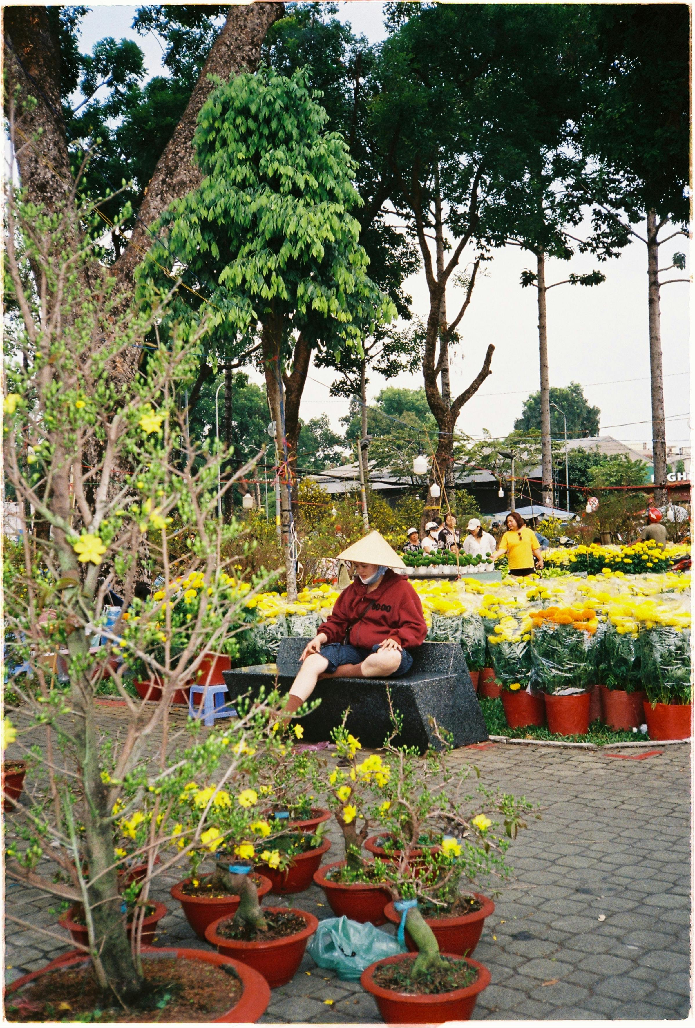 Gratis Kvinde med konisk hat sidder blandt farverige blomster på markedet i Ho Chi Minh City. Lagerfoto