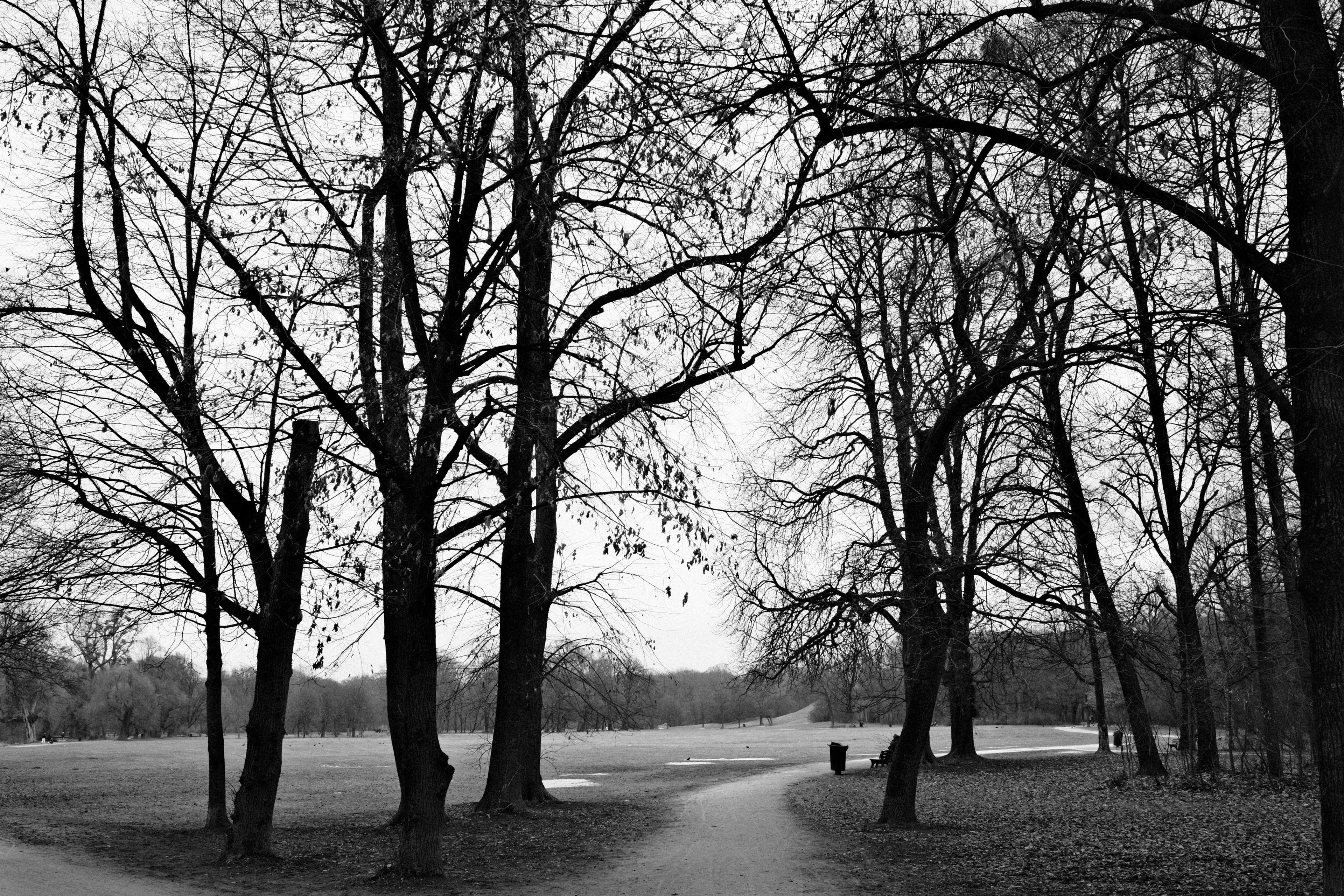 Gratis lagerfoto af @outdoor, arkitektur, årstidsbestemt Lagerfoto
