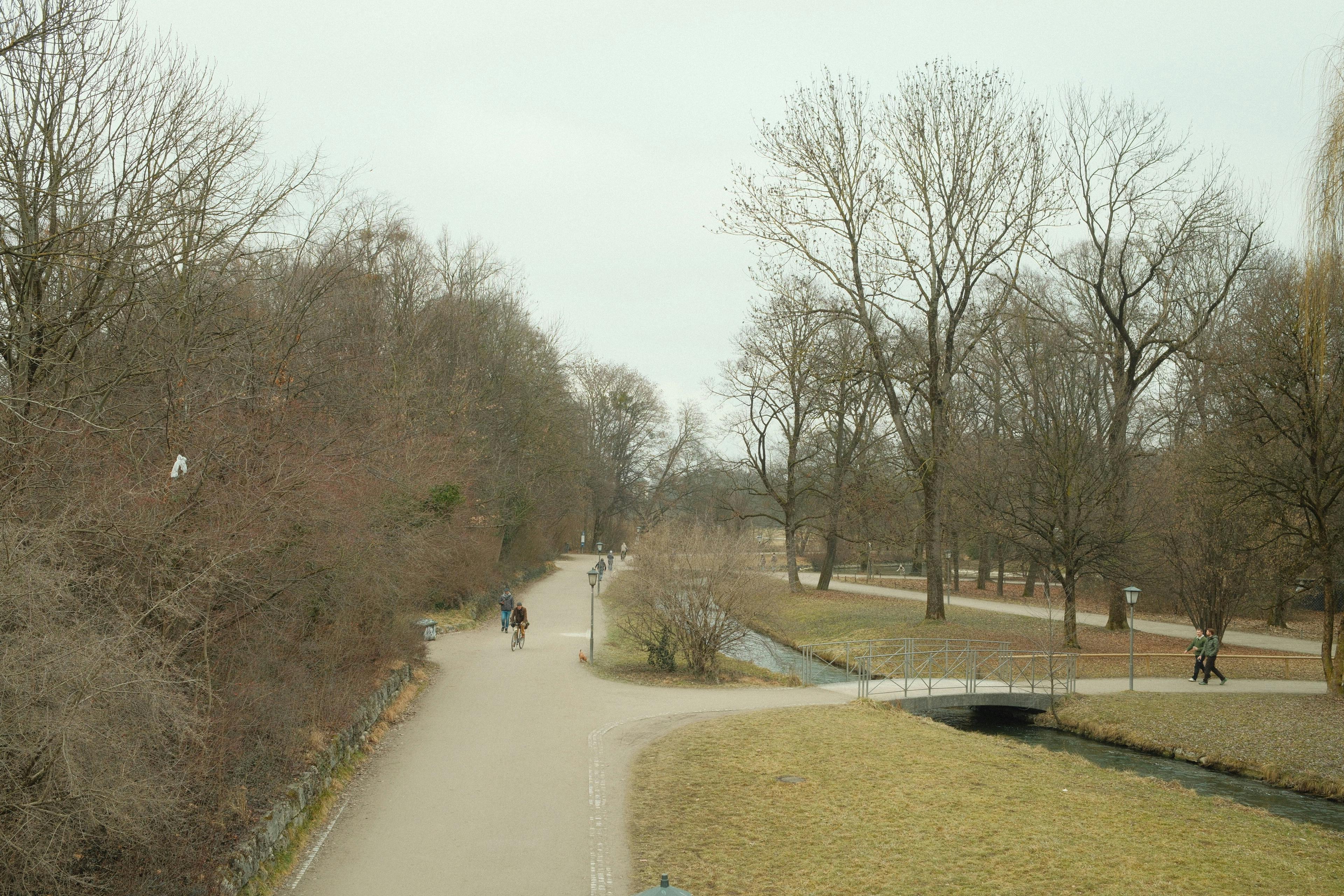 Gratis Naturskøn vinterudsigt over en sti i Münchens Engelske Have, Tyskland. Lagerfoto