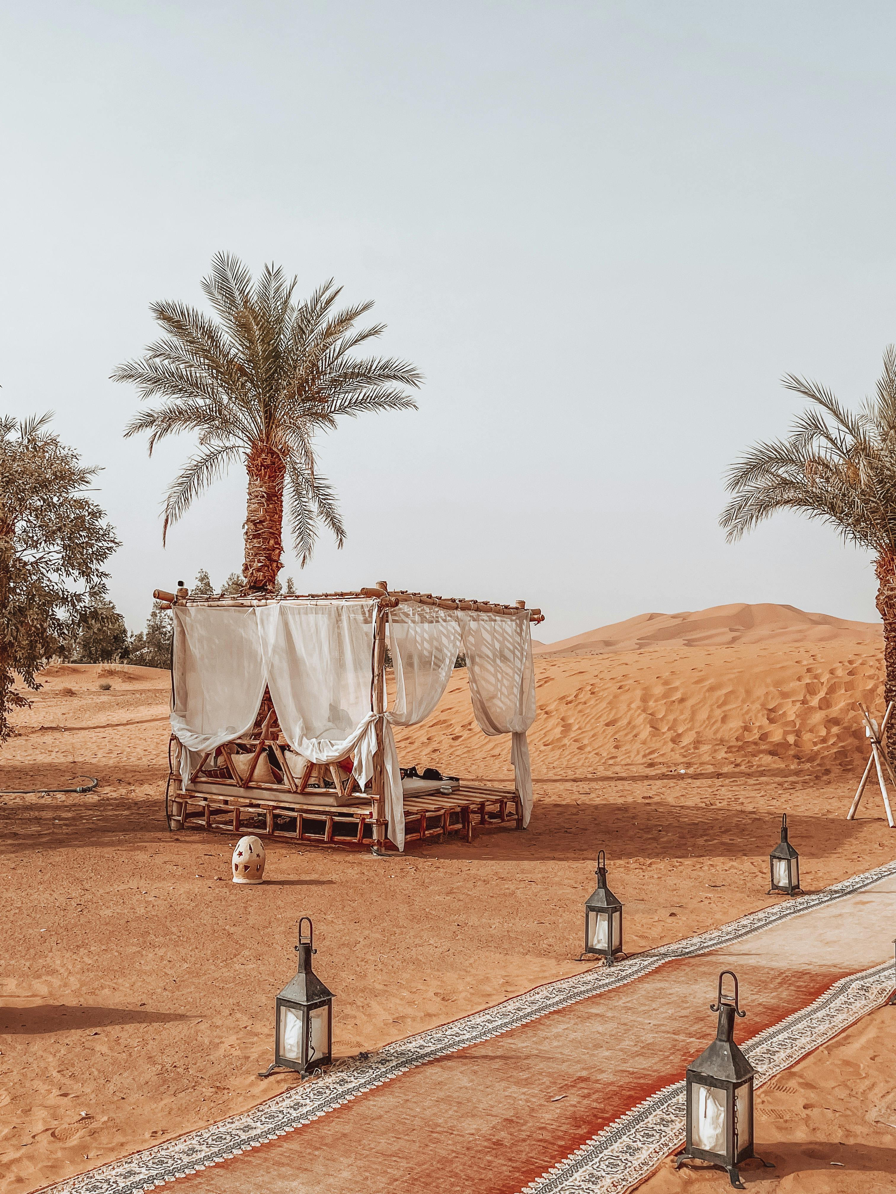 Kostenlos Erleben Sie die beschauliche Schönheit des Wüsten-Glampings in Merzouga unter Palmen. Stock-Foto