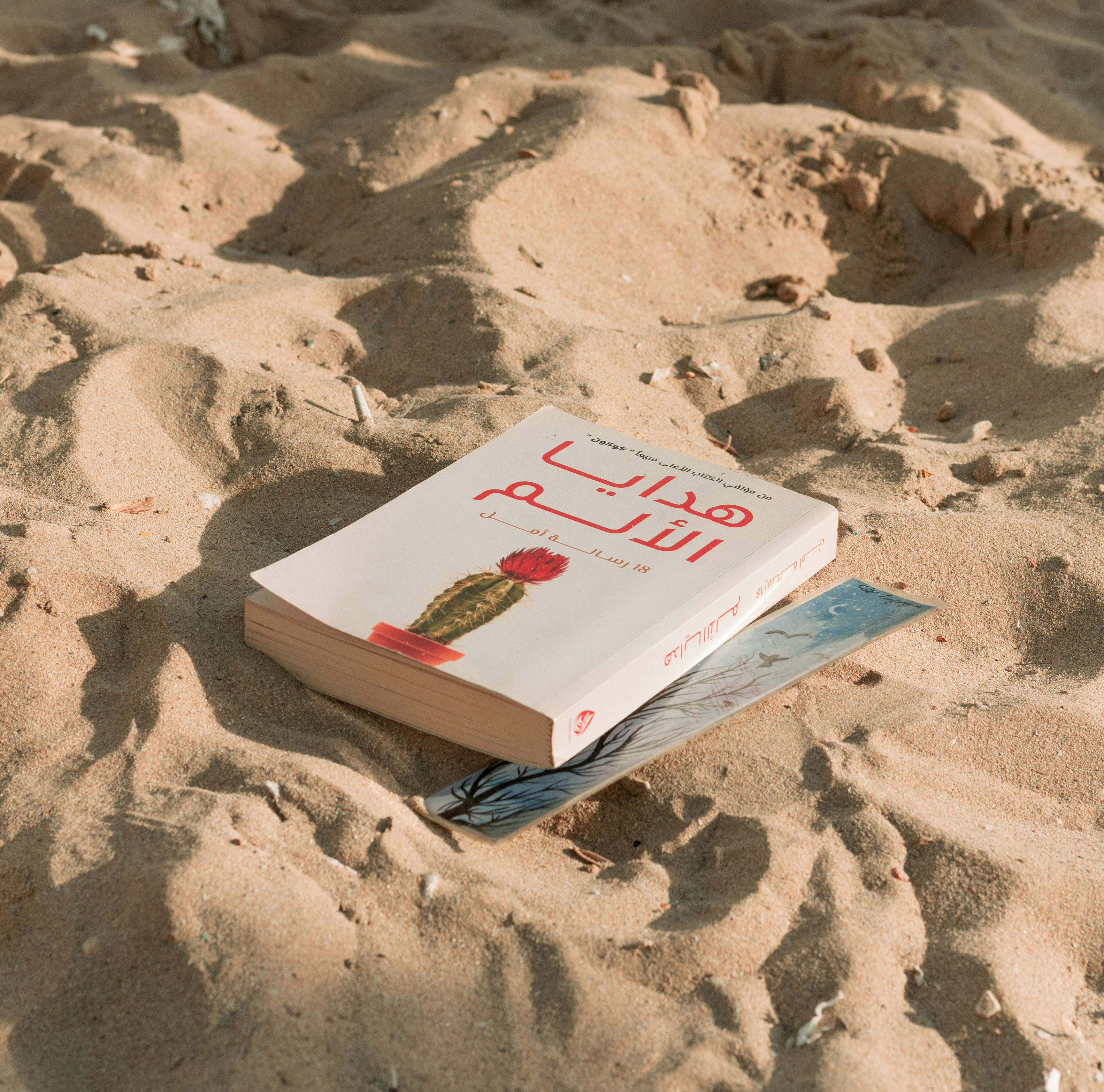 A book rests on the sandy beach in Alexandria, Egypt, capturing a serene sunset moment.